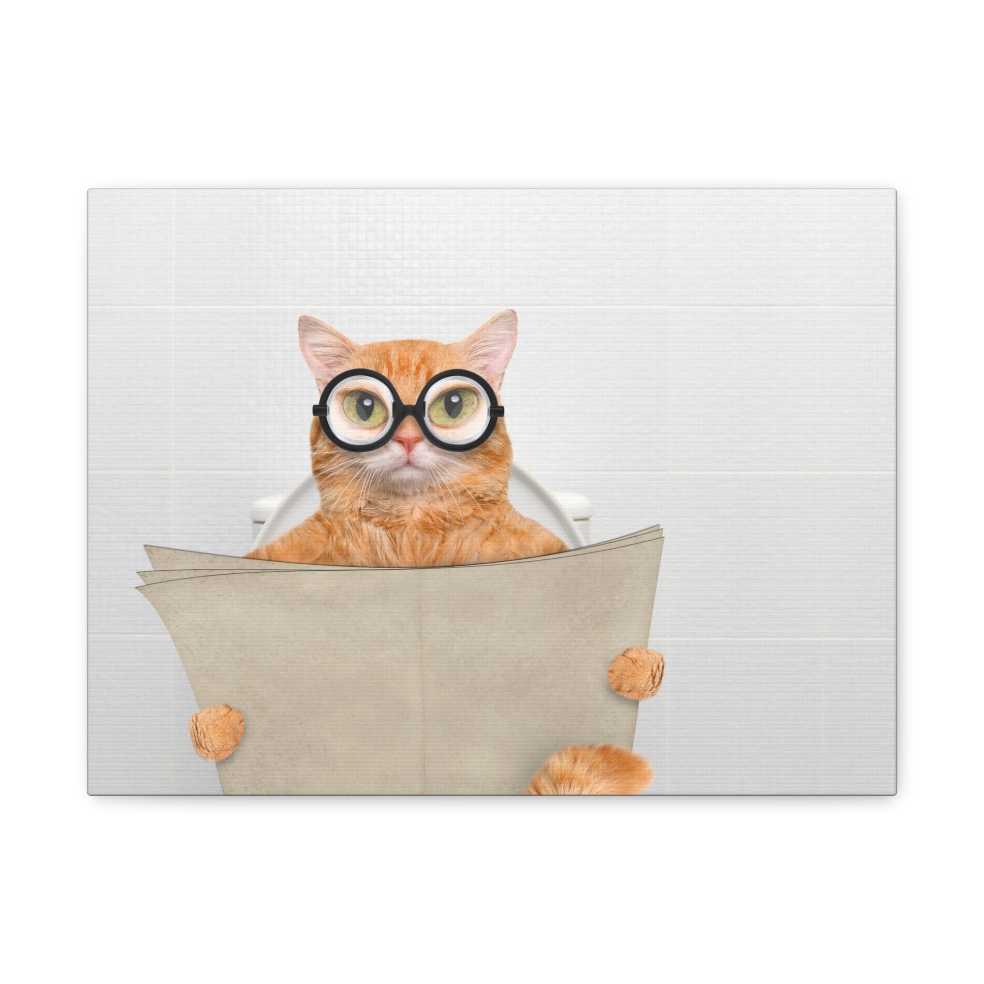 Cat Wearing Glasses Reading Newspaper On Toilet Funny Canvas Wall Art for Home Decor Ready-to-Hand-Express Your Love Gifts