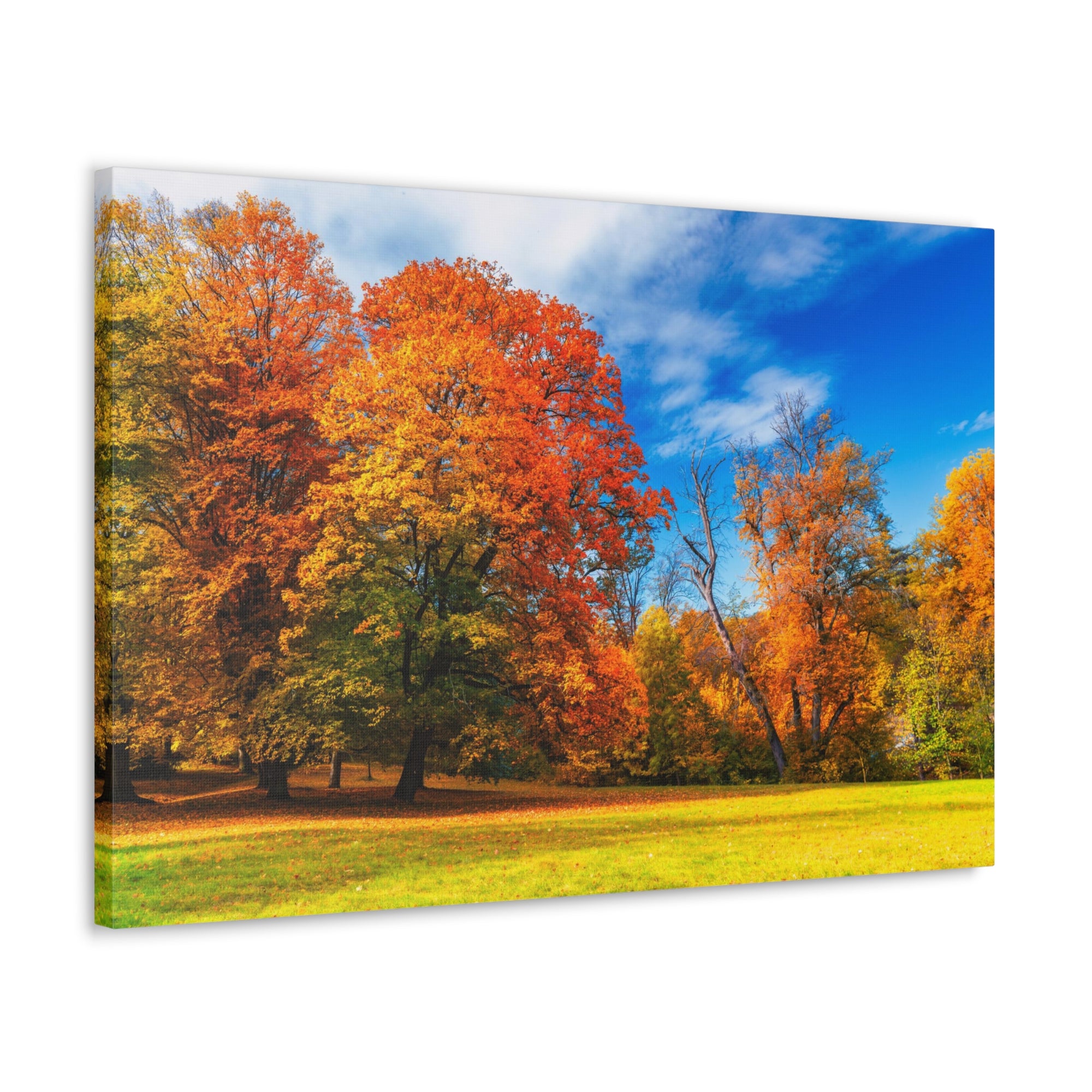 Autumn Fall Scene Beautiful Autumn Forest Path Beauty Nature Scene Bright Light Sun Wall Art Ready to Hang-Express Your Love Gifts