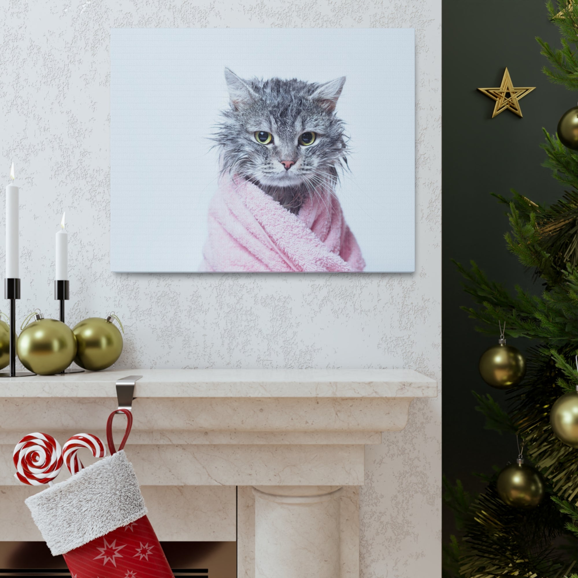 Funny Tabby Cat Bathee Canvas Wall Art for Home Decor Ready-to-Hang-Express Your Love Gifts