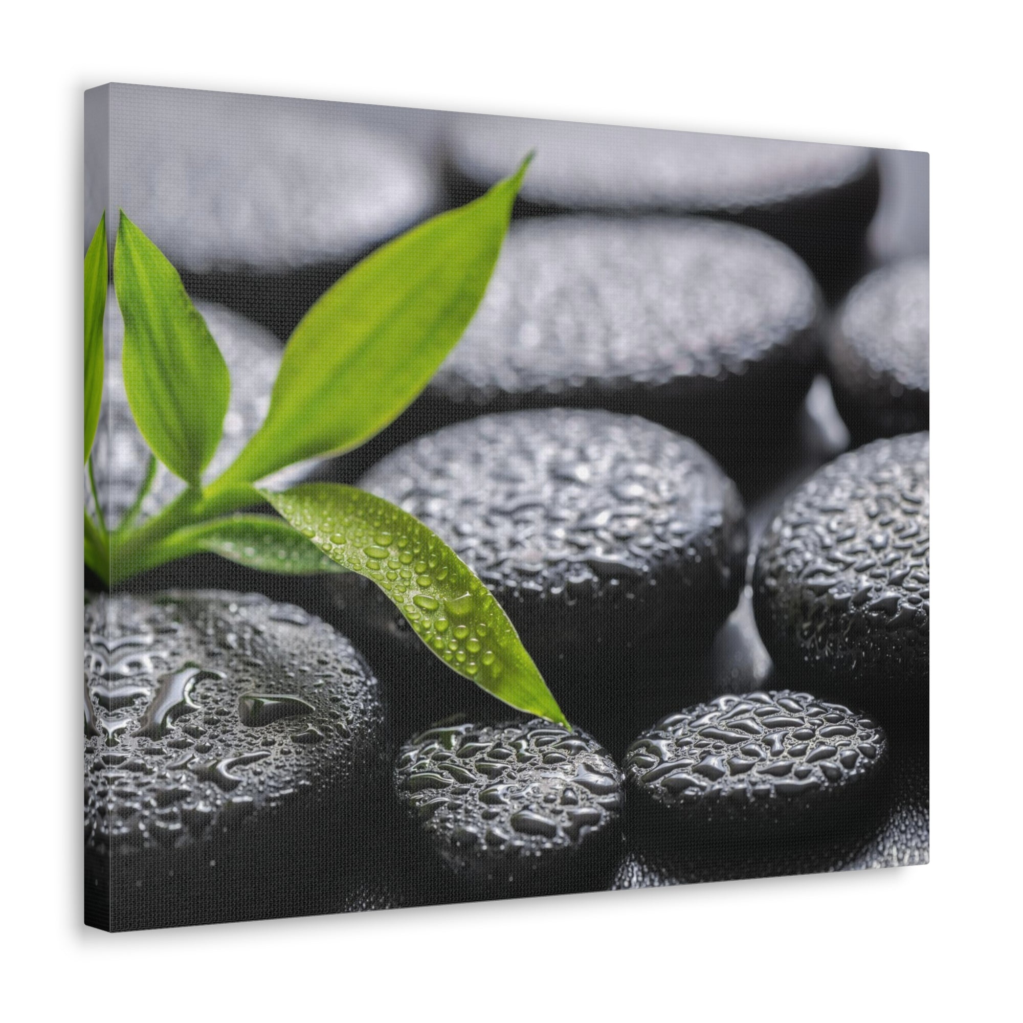 Bamboo on Zen Basalt Forest Floral Nature Photography Canvas Wall Art for Home Decor Ready-to-Hang-Express Your Love Gifts