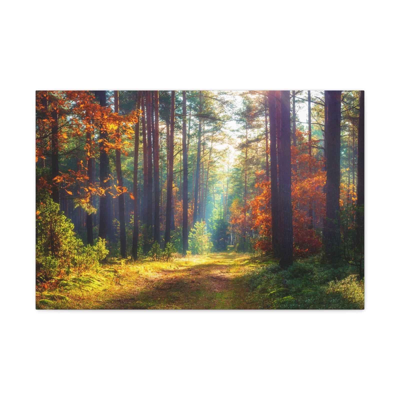 Autumn Forest Sunlight Shine Orange Tree Nature Wilderness Photography Canvas Wall Art for Home Decor Ready-to-Hang-Express Your Love Gifts