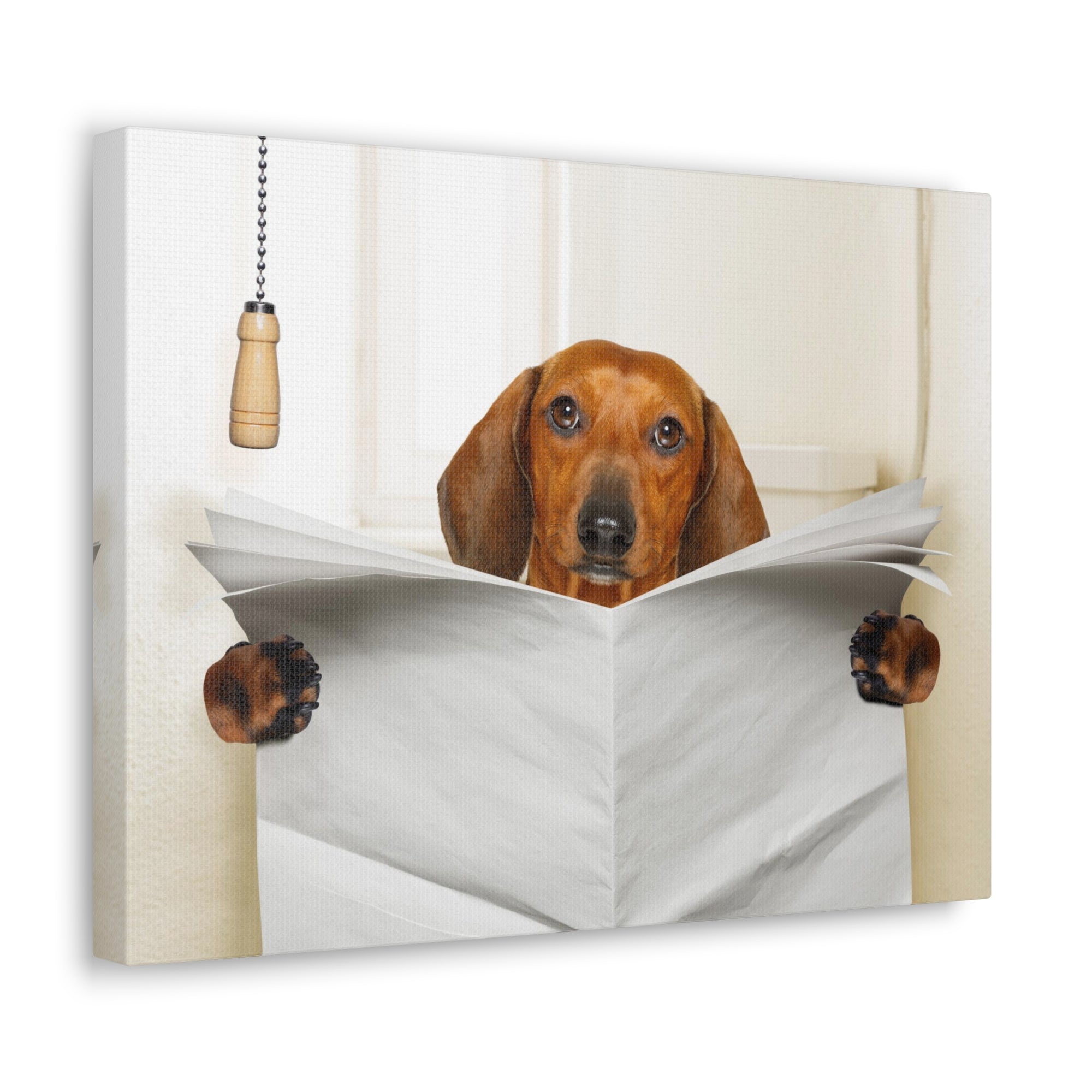 Funny Sausage Dachshund Reading Blank Paper On Toilet Funny Canvas Wall Art for Home Decor Ready-to-Hand-Express Your Love Gifts