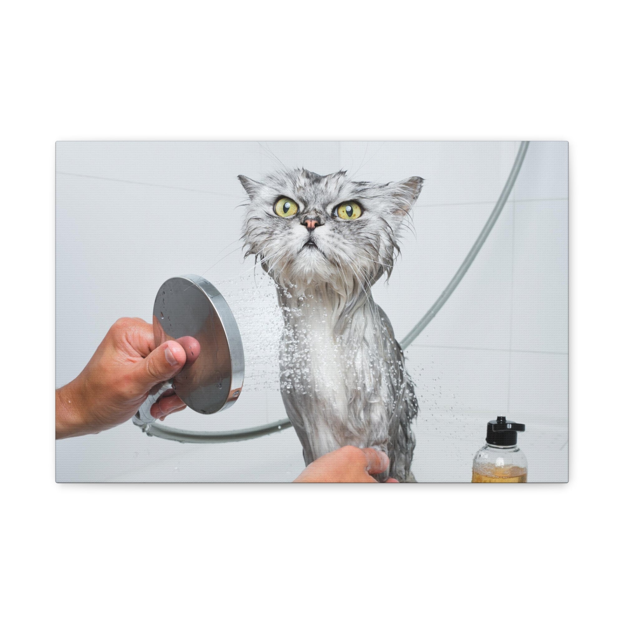 Funny Wet Cat Bath Canvas Wall Art for Home Decor Ready-to-Hang-Express Your Love Gifts