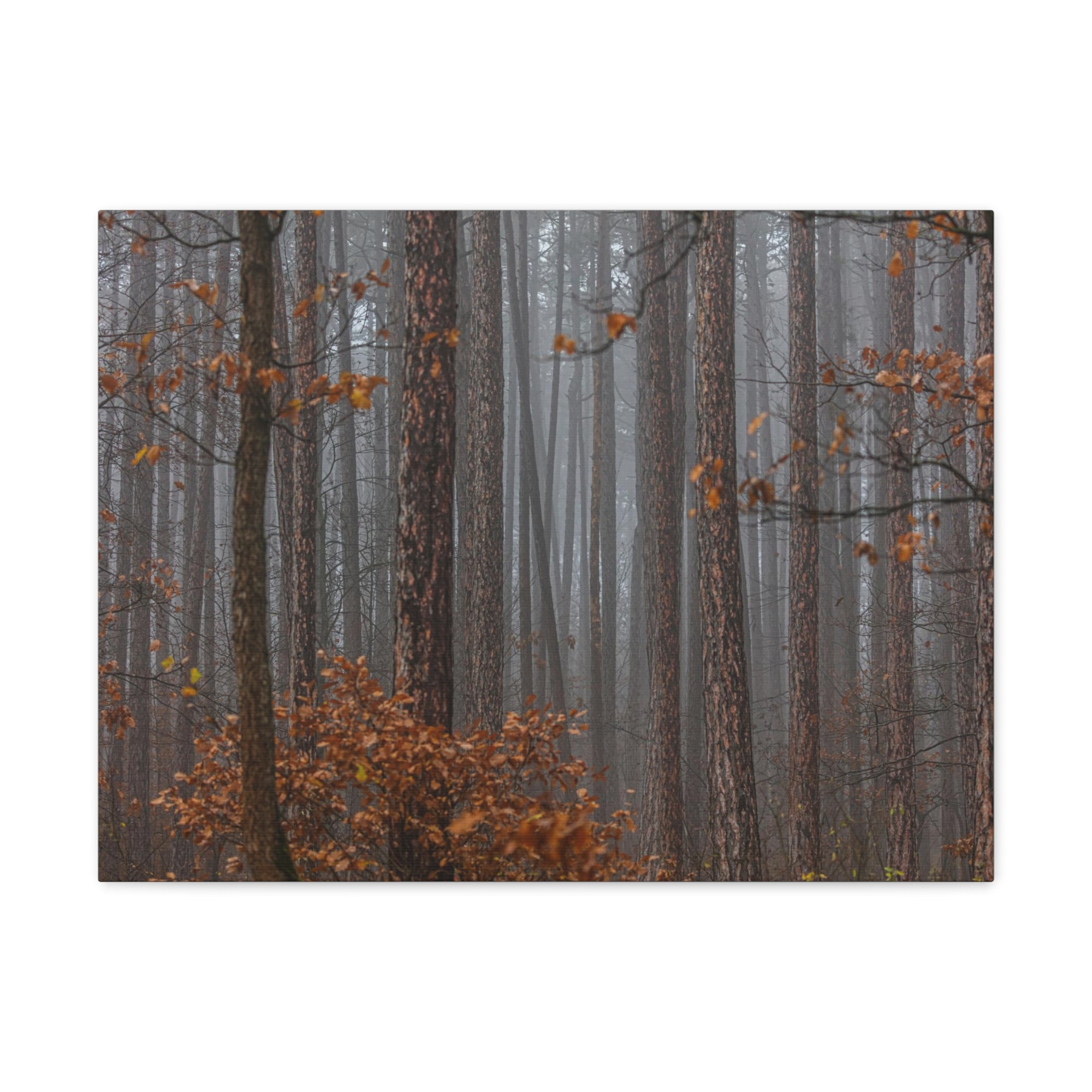 Autumn Forest Misty Orange Leave Nature Wilderness Photography Canvas Wall Art for Home Decor Ready-to-Hang-Express Your Love Gifts