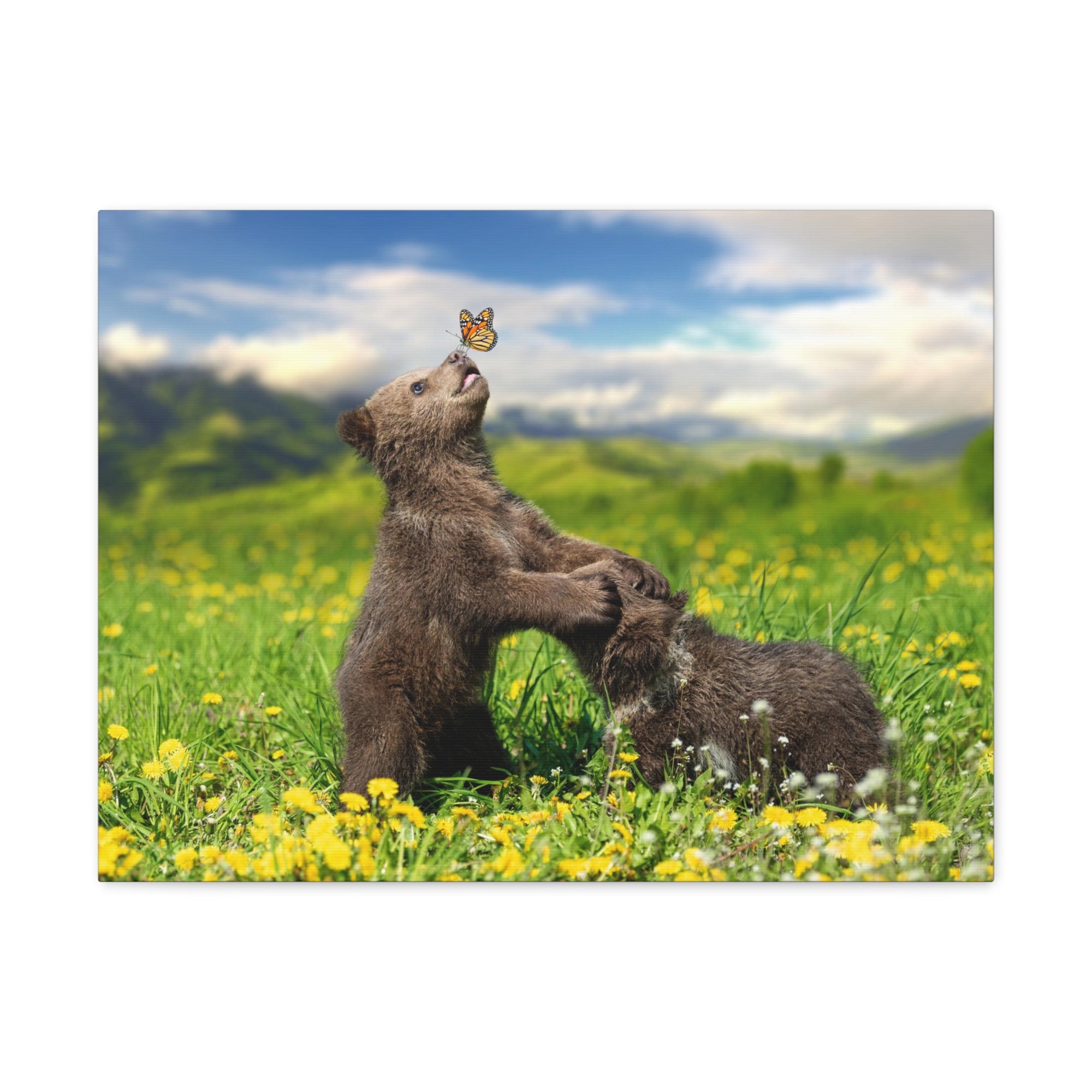 Black Bears in The Spring Nature Wilderness Photography Canvas Wall Art for Home Decor Ready-to-Hang-Express Your Love Gifts