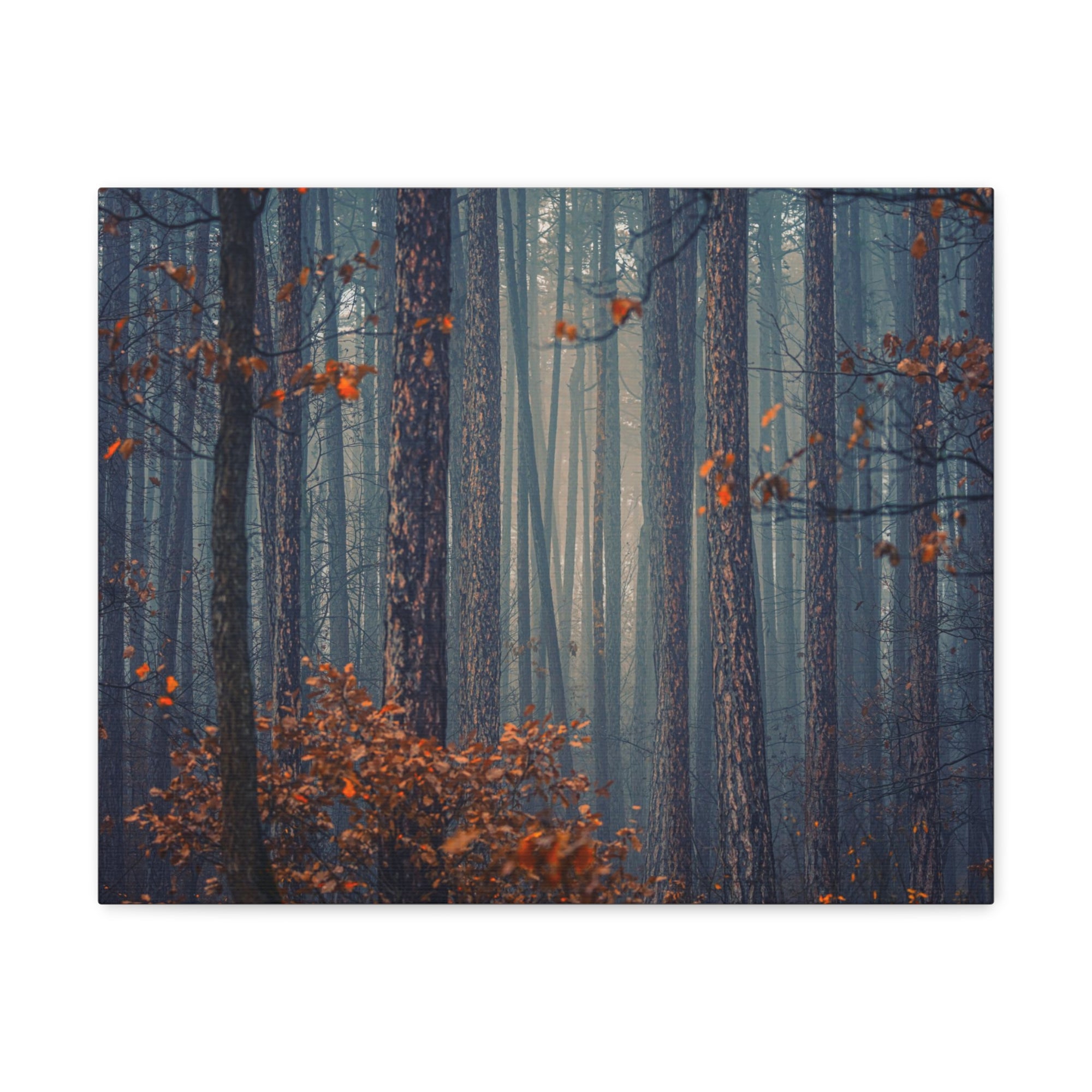 Autumn Forest Misty Orange Tree Leave Nature Wilderness Photography Canvas Wall Art for Home Decor Ready-to-Hang-Express Your Love Gifts