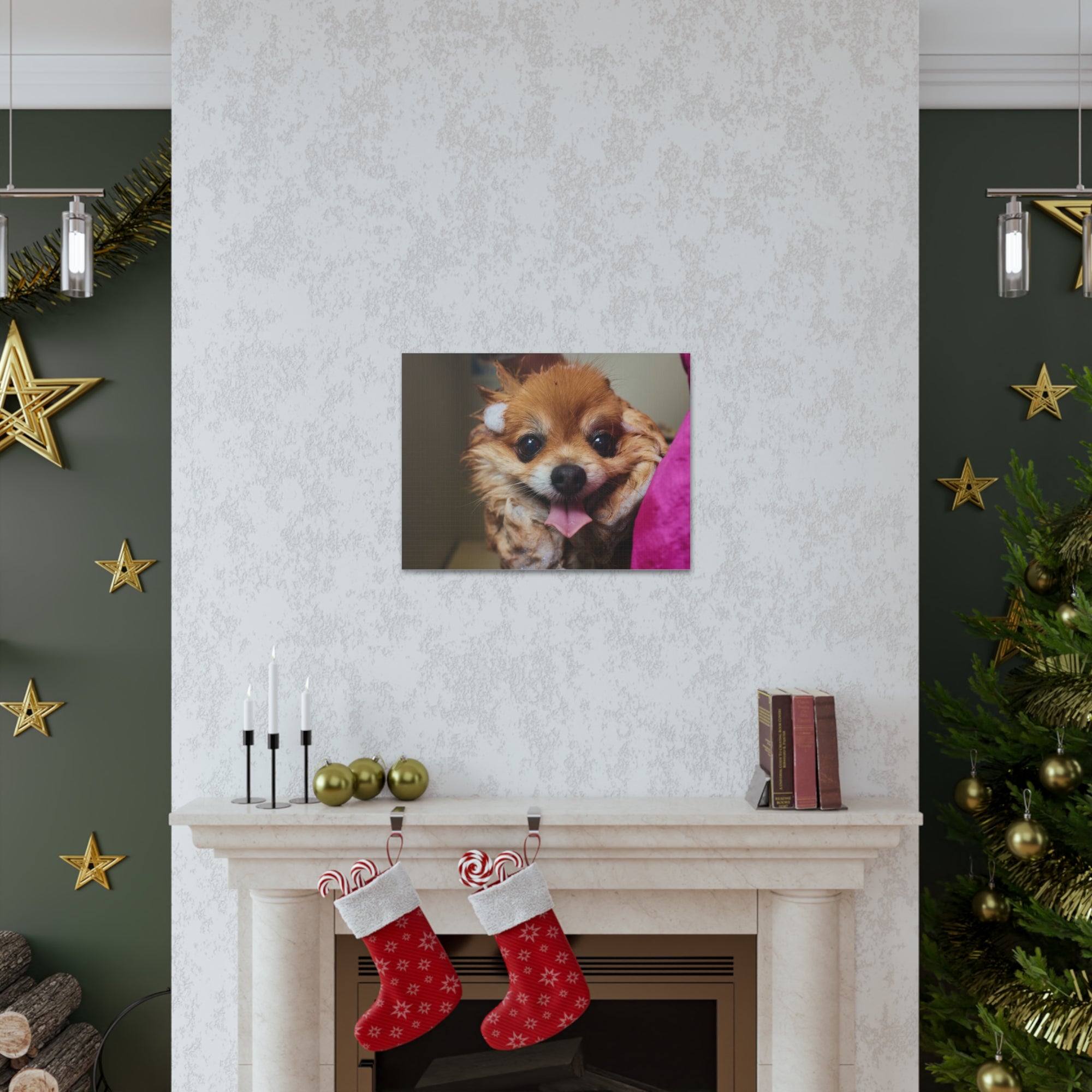 Funny Corgi Bathee Canvas Wall Art for Home Decor Ready-to-Hang-Express Your Love Gifts