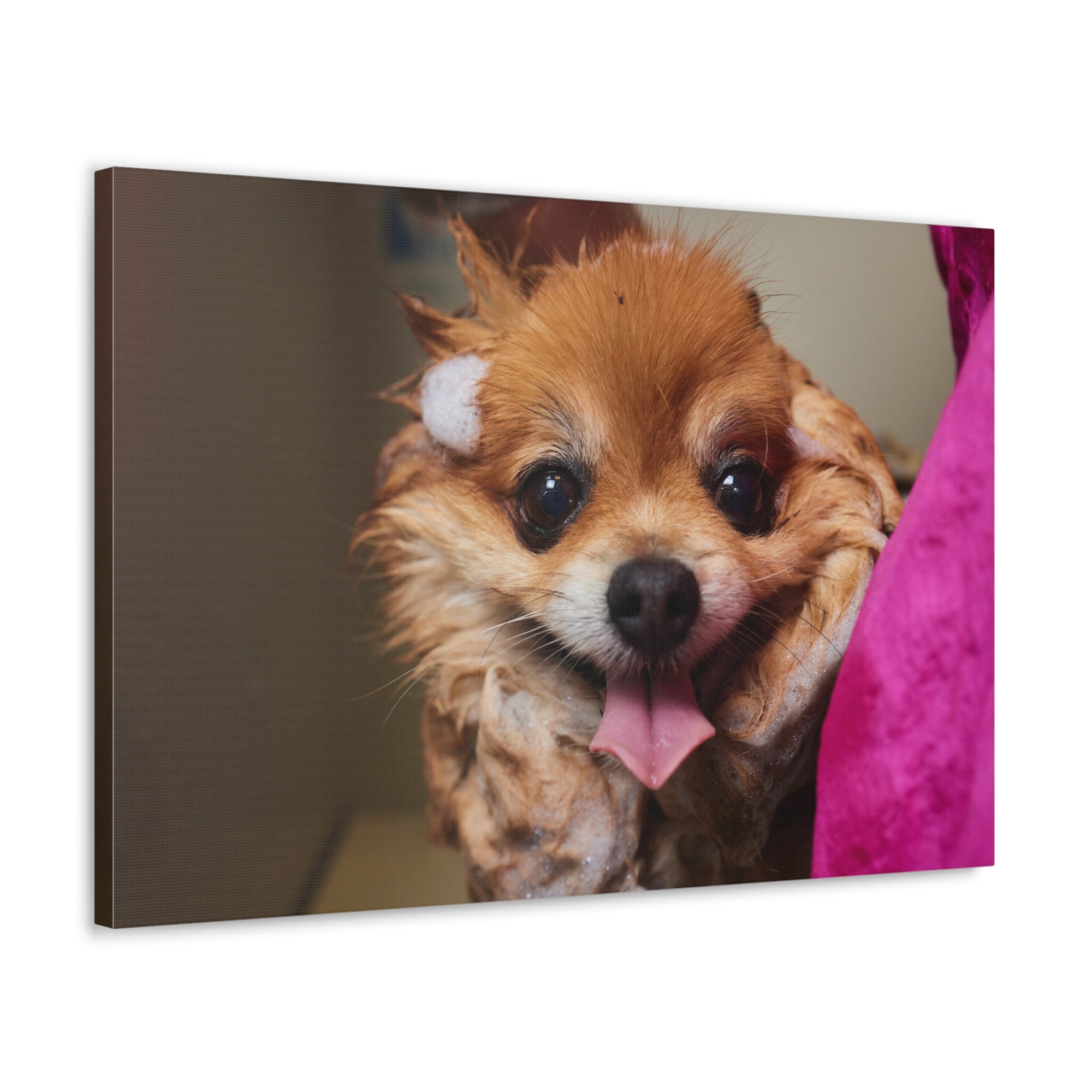 Funny Corgi Bathee Canvas Wall Art for Home Decor Ready-to-Hang-Express Your Love Gifts