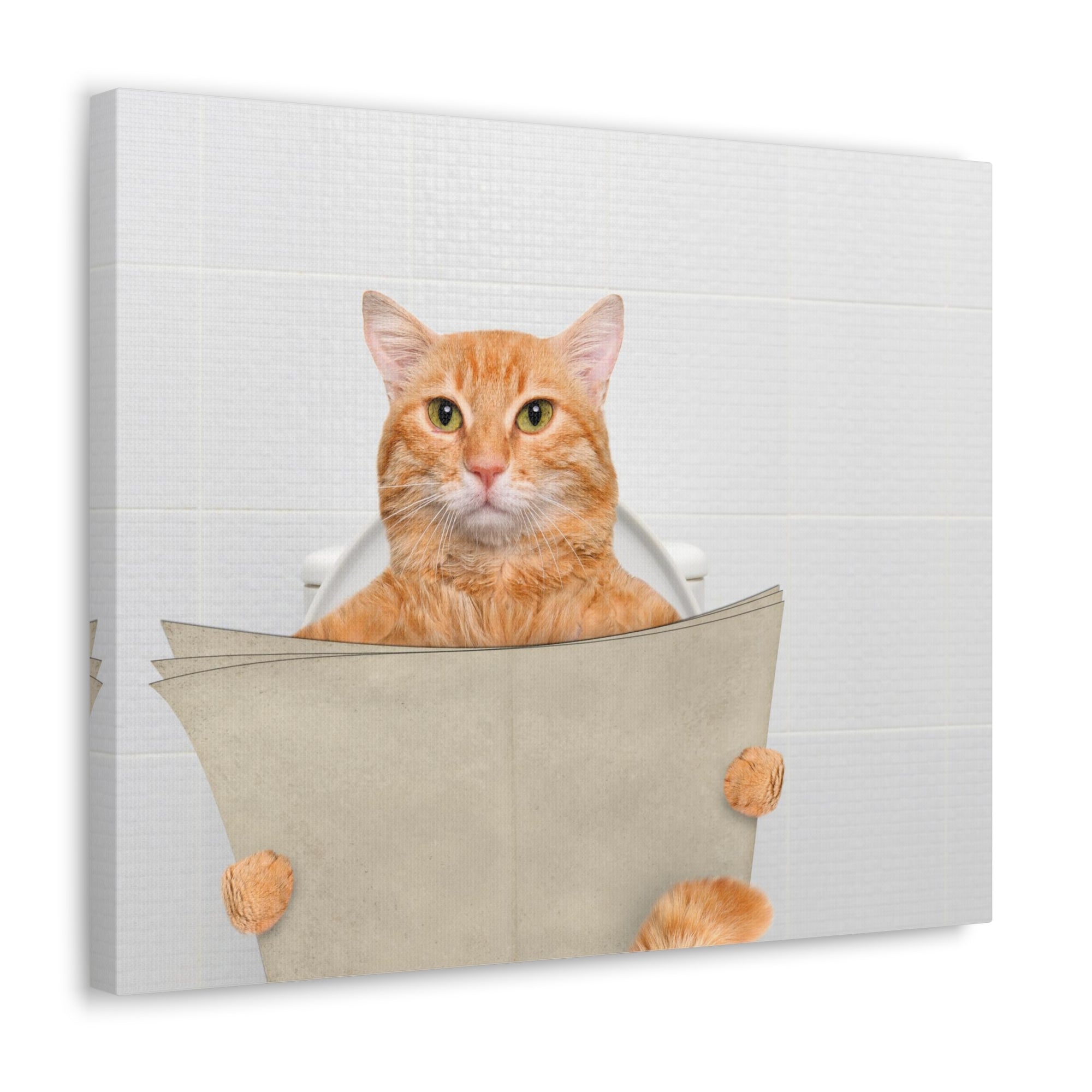 Funny Cat Reading Newspaper On Toilet Funny Canvas Wall Art for Home Decor Ready-to-Hand-Express Your Love Gifts