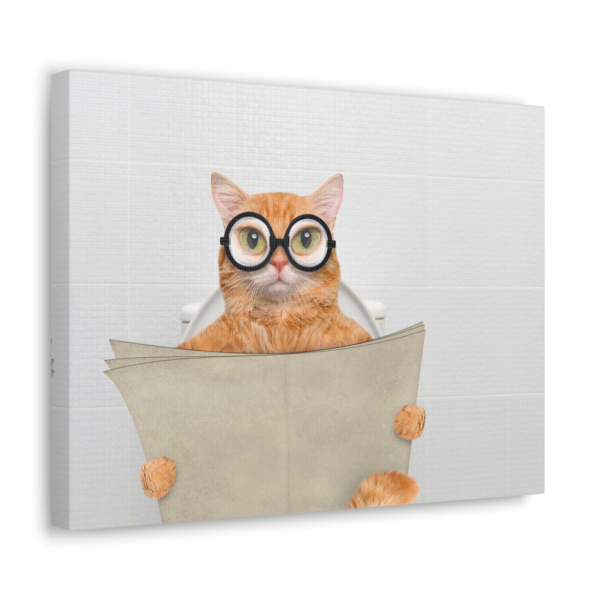 Cat Wearing Glasses Reading Newspaper On Toilet Funny Canvas Wall Art for Home Decor Ready-to-Hand-Express Your Love Gifts