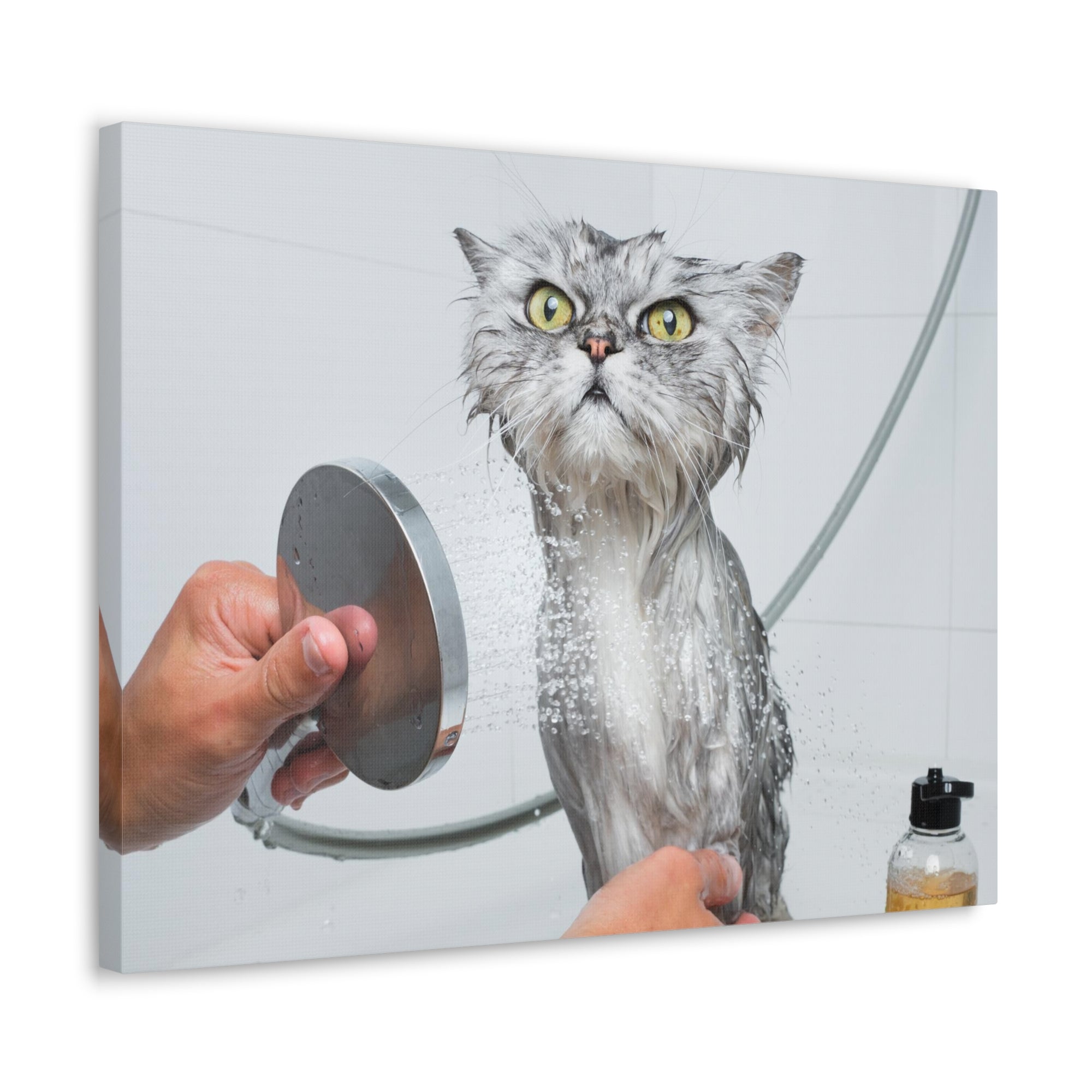 Funny Wet Cat Bath Canvas Wall Art for Home Decor Ready-to-Hang-Express Your Love Gifts