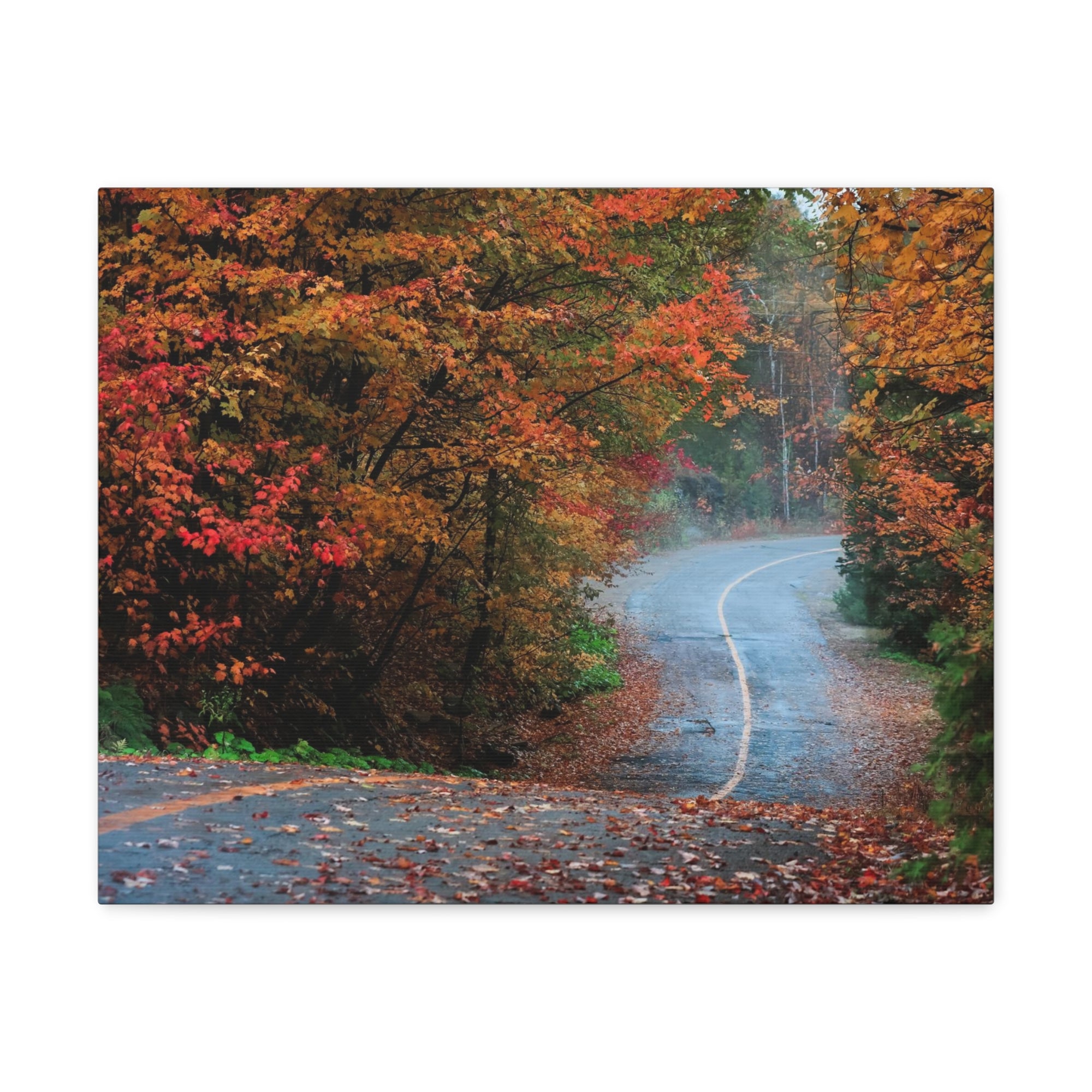 Autumn Forest Misty Path Nature Wilderness Photography Canvas Wall Art for Home Decor Ready-to-Hang-Express Your Love Gifts