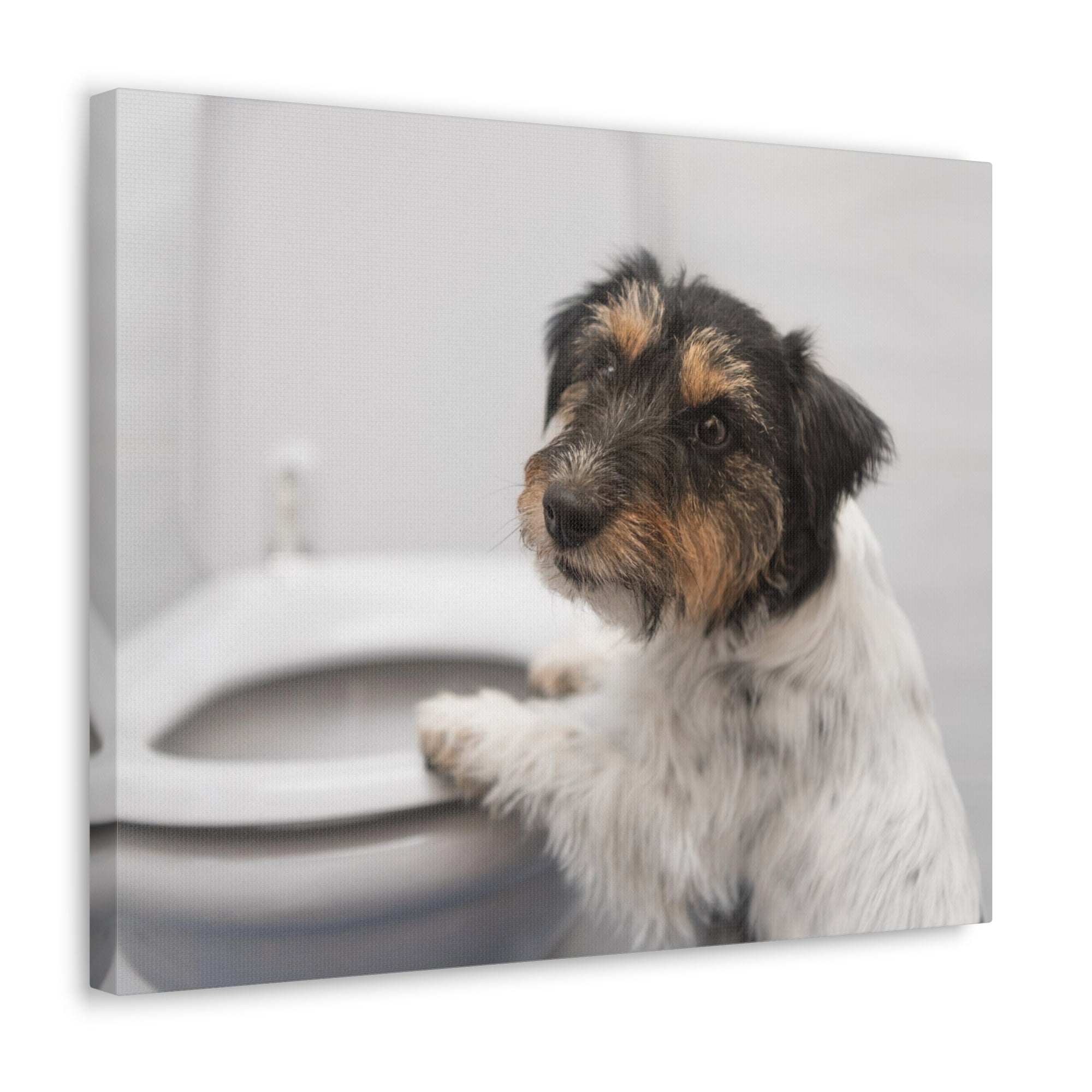 Jack Russell Terrier Standing On Toilet Funny Canvas Wall Art for Home Decor Ready-to-Hand-Express Your Love Gifts