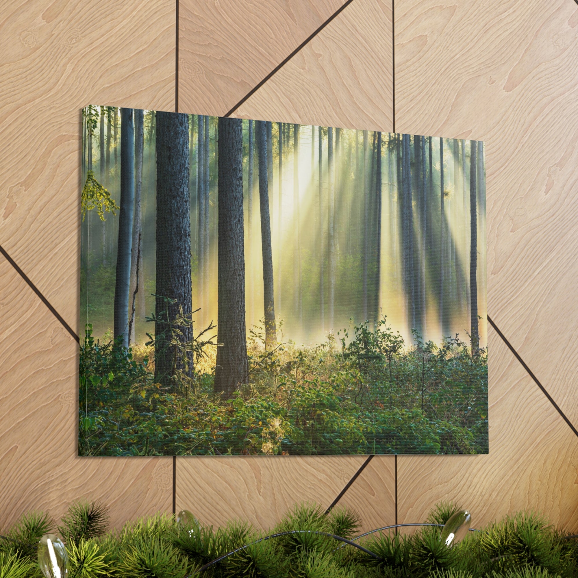 Canvas Art Decor Morning Sunrise Green Trees Algeria