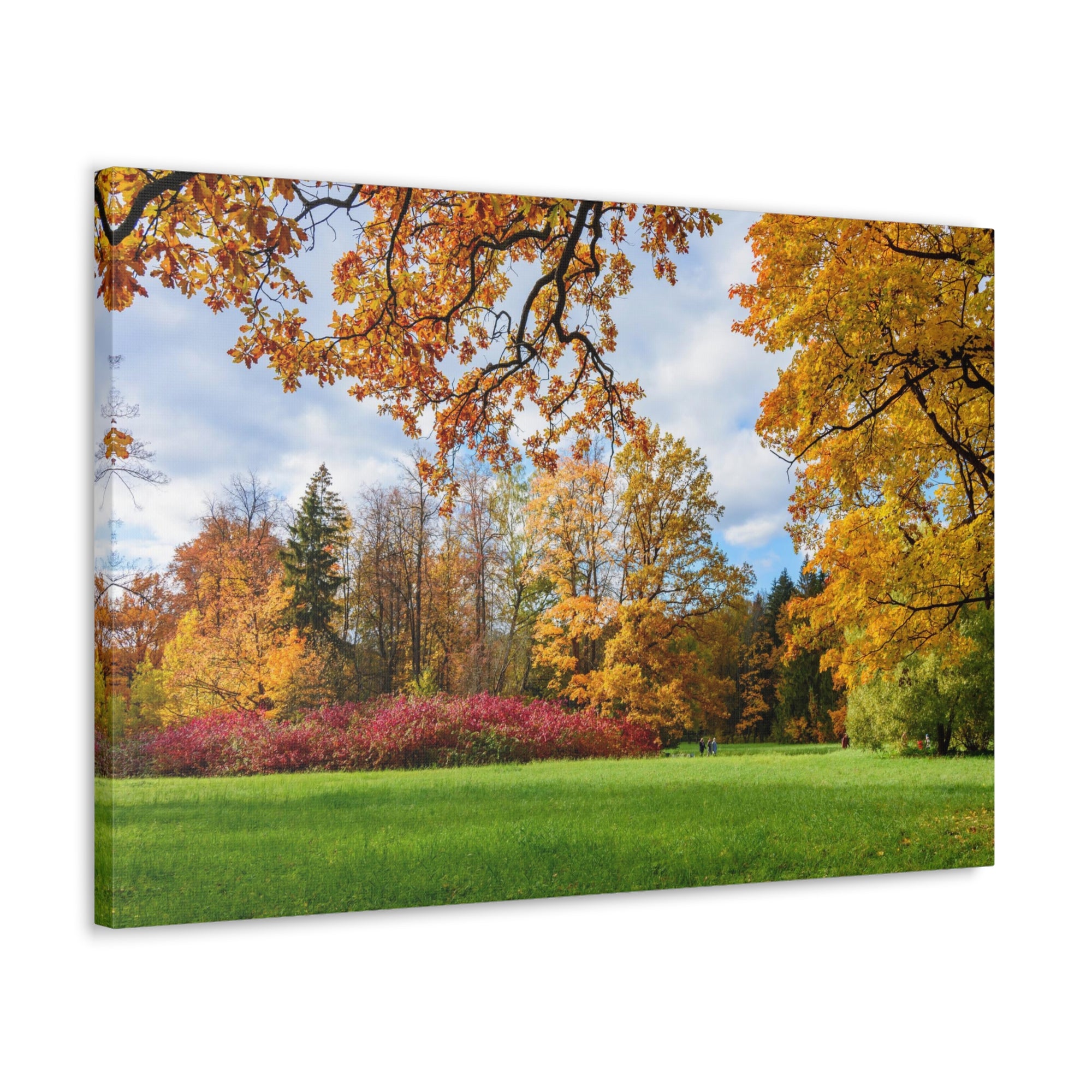 Autumn Park Tree Orange Nature Wilderness Photography Canvas Wall Art for Home Decor Ready-to-Hang-Express Your Love Gifts