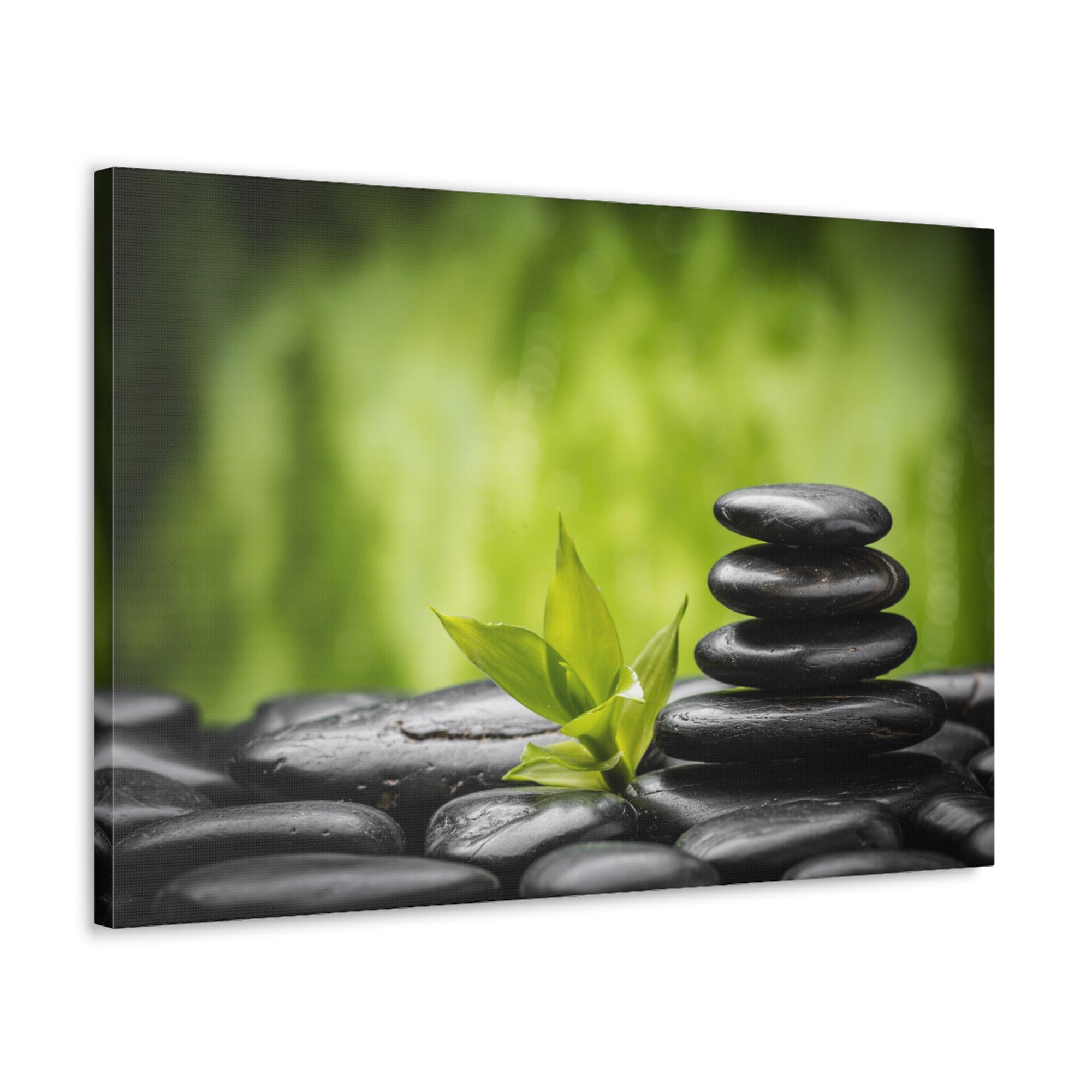 Basalt Stones and Bamboo Forest Floral Nature Photography Canvas Wall Art for Home Decor Ready-to-Hang-Express Your Love Gifts