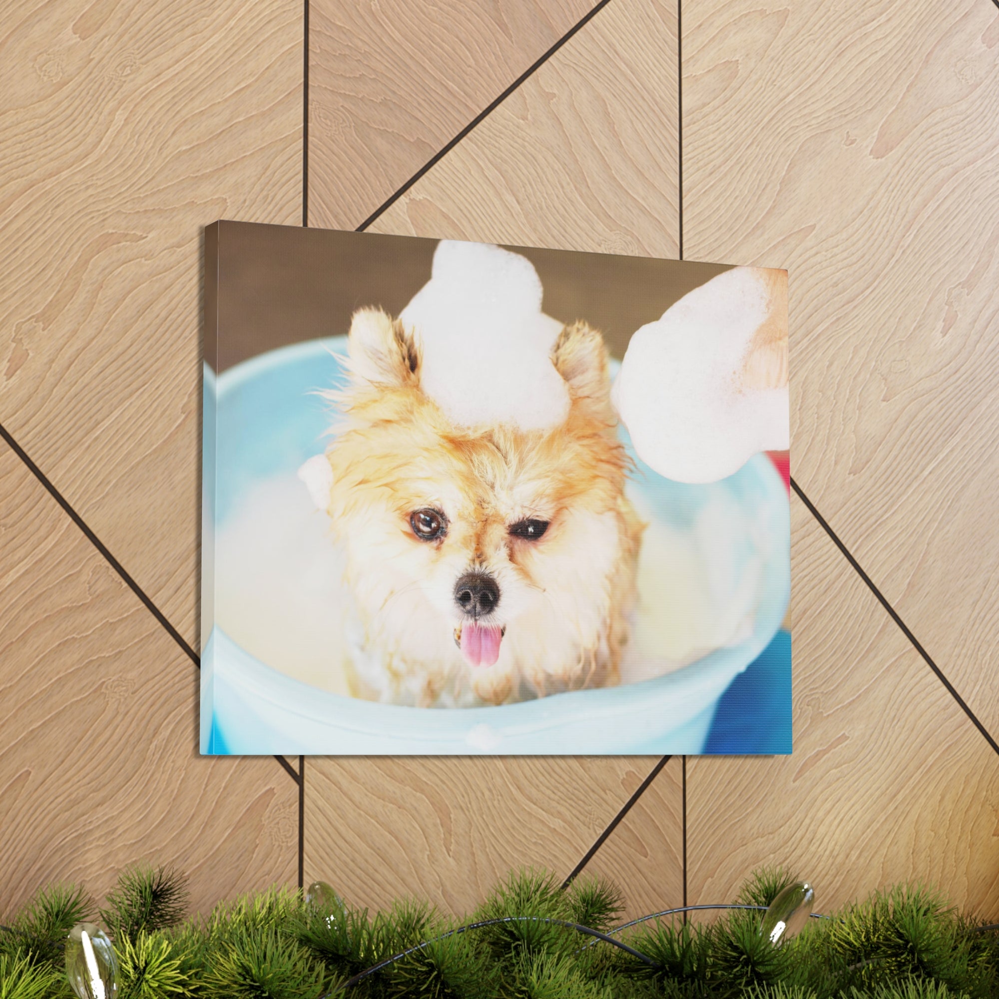 Funny Pomeranian Bathee Canvas Wall Art for Home Decor Ready-to-Hang-Express Your Love Gifts