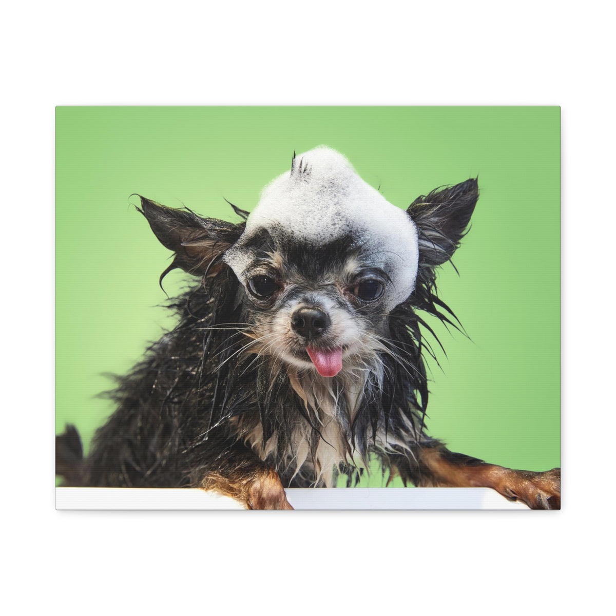 Funny Chihuahua Bath Canvas Wall Art for Home Decor Ready-to-Hang-Express Your Love Gifts