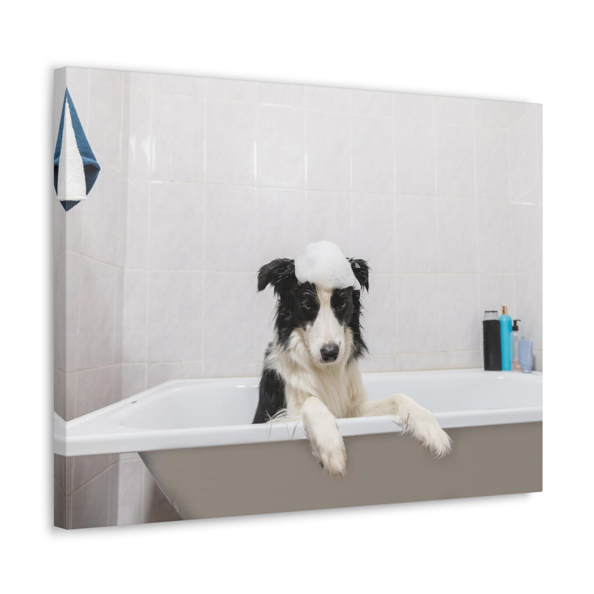 Funny Border Collie Bathee Canvas Wall Art for Home Decor Ready-to-Hang-Express Your Love Gifts