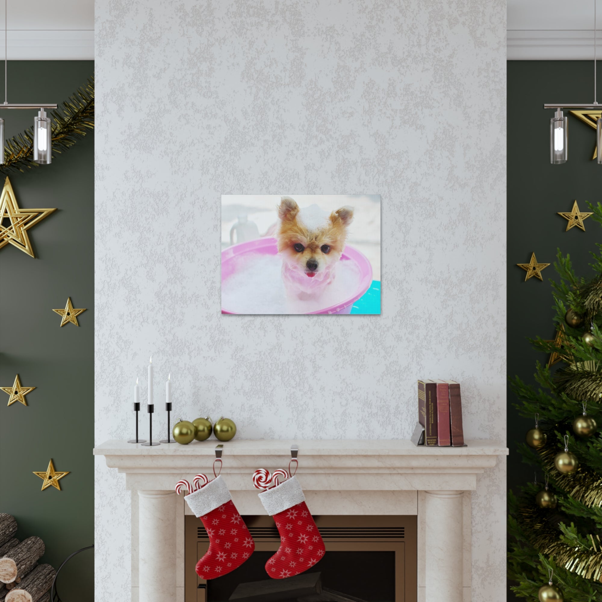 Funny Pomeranian Bath Canvas Wall Art for Home Decor Ready-to-Hang-Express Your Love Gifts