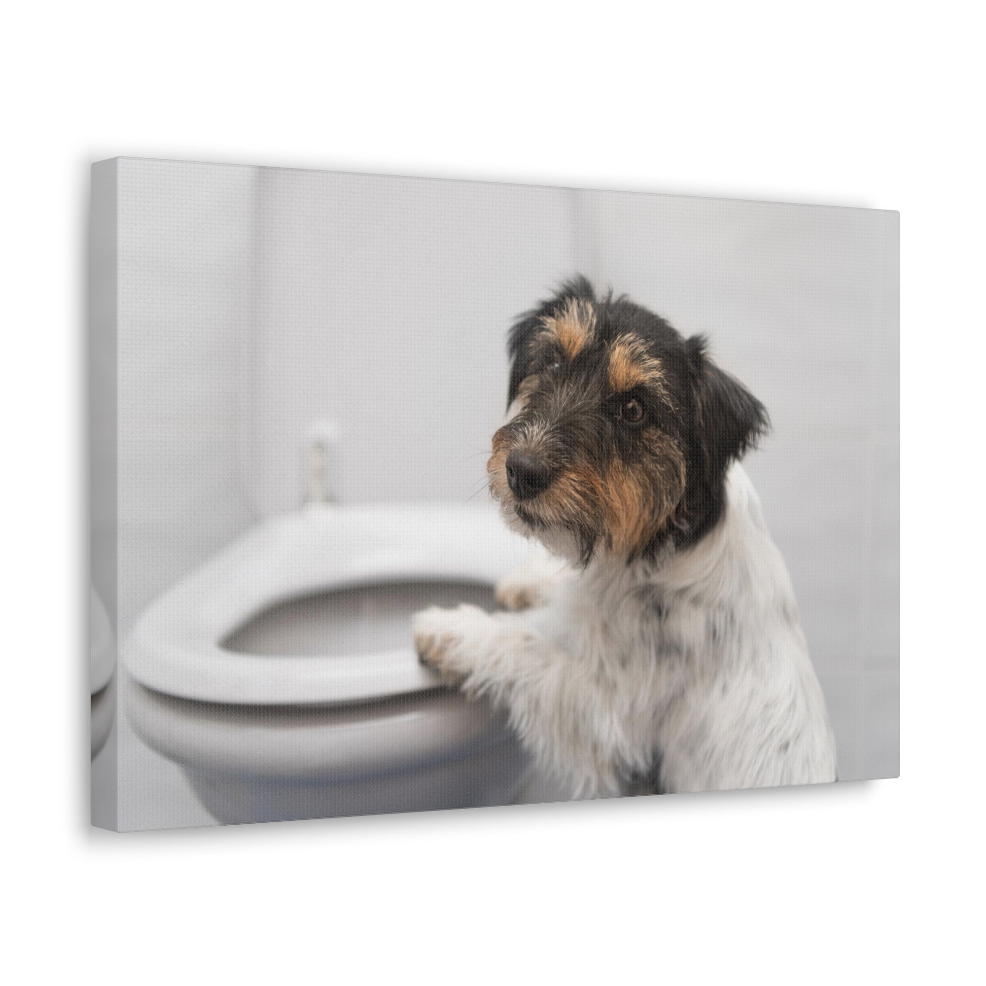 Jack Russell Terrier Standing On Toilet Funny Canvas Wall Art for Home Decor Ready-to-Hand-Express Your Love Gifts