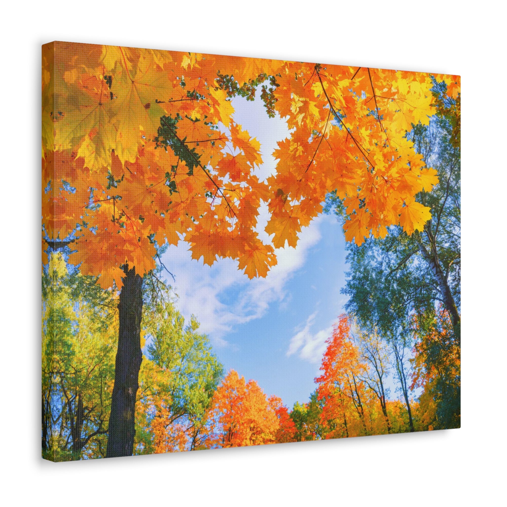 Autumn Tree With Orange Leaves Heart Nature Wilderness Photography Canvas Wall Art for Home Decor Ready-to-Hang-Express Your Love Gifts