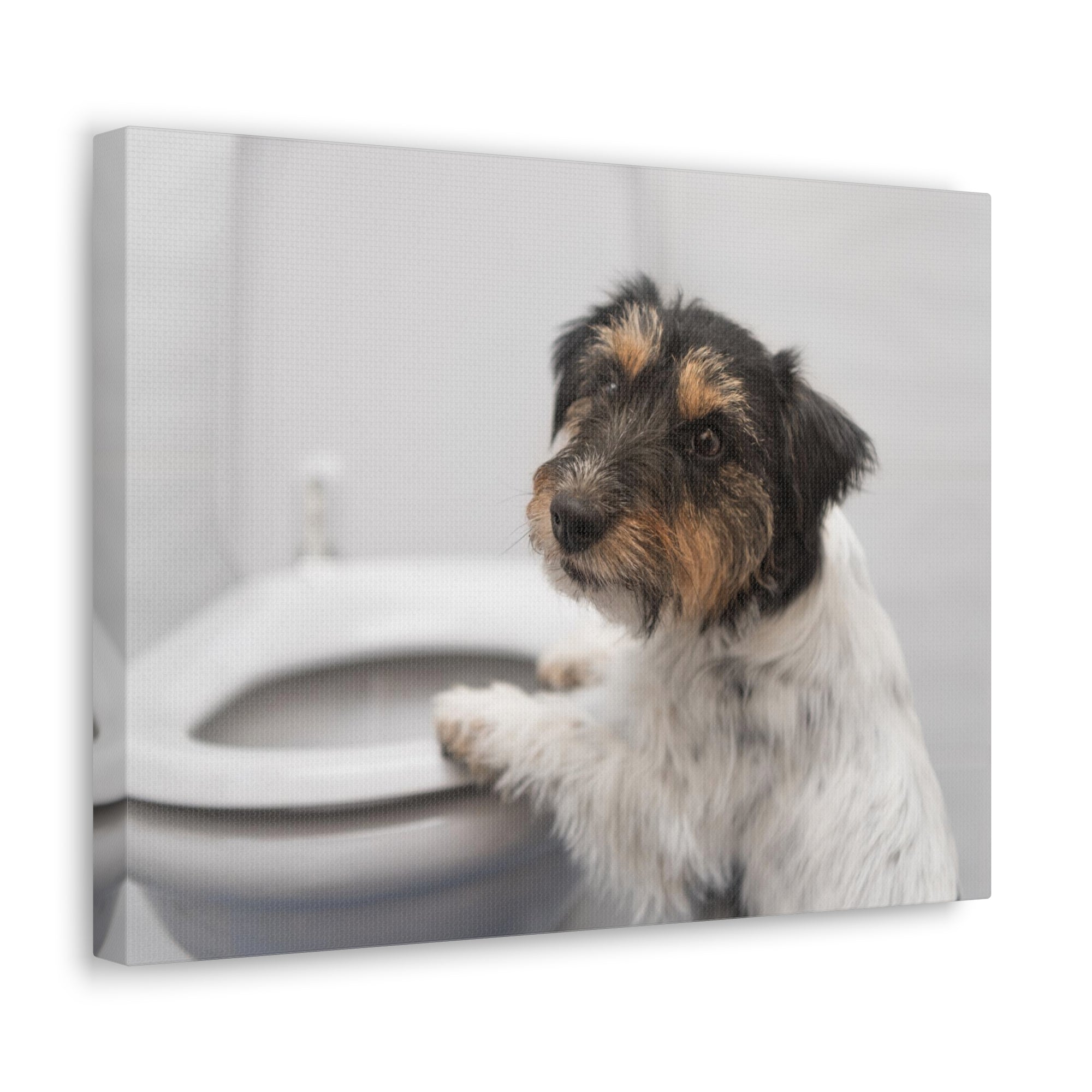 Jack Russell Terrier Standing On Toilet Funny Canvas Wall Art for Home Decor Ready-to-Hand-Express Your Love Gifts