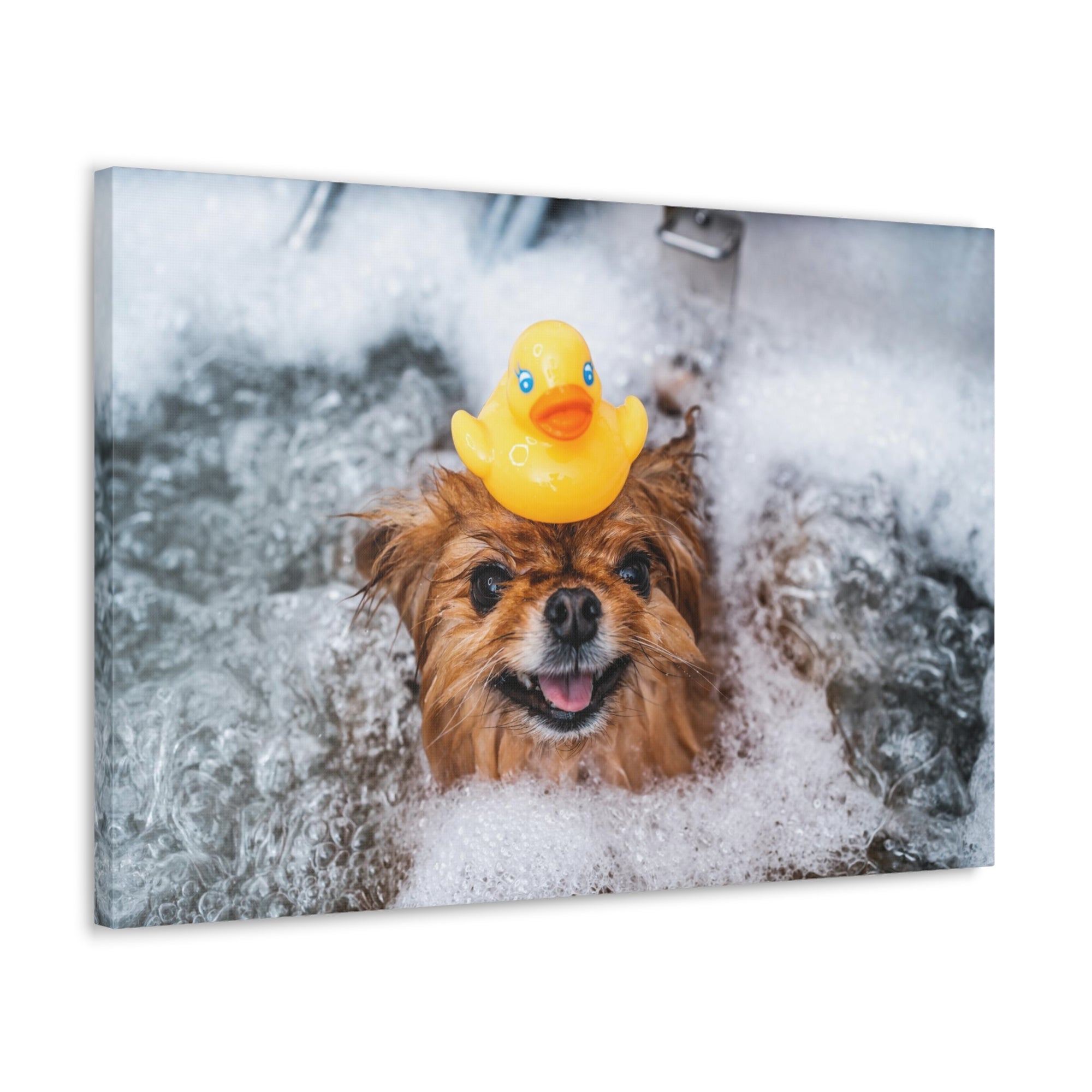 Funny Spitz Bathee Canvas Wall Art for Home Decor Ready-to-Hang-Express Your Love Gifts