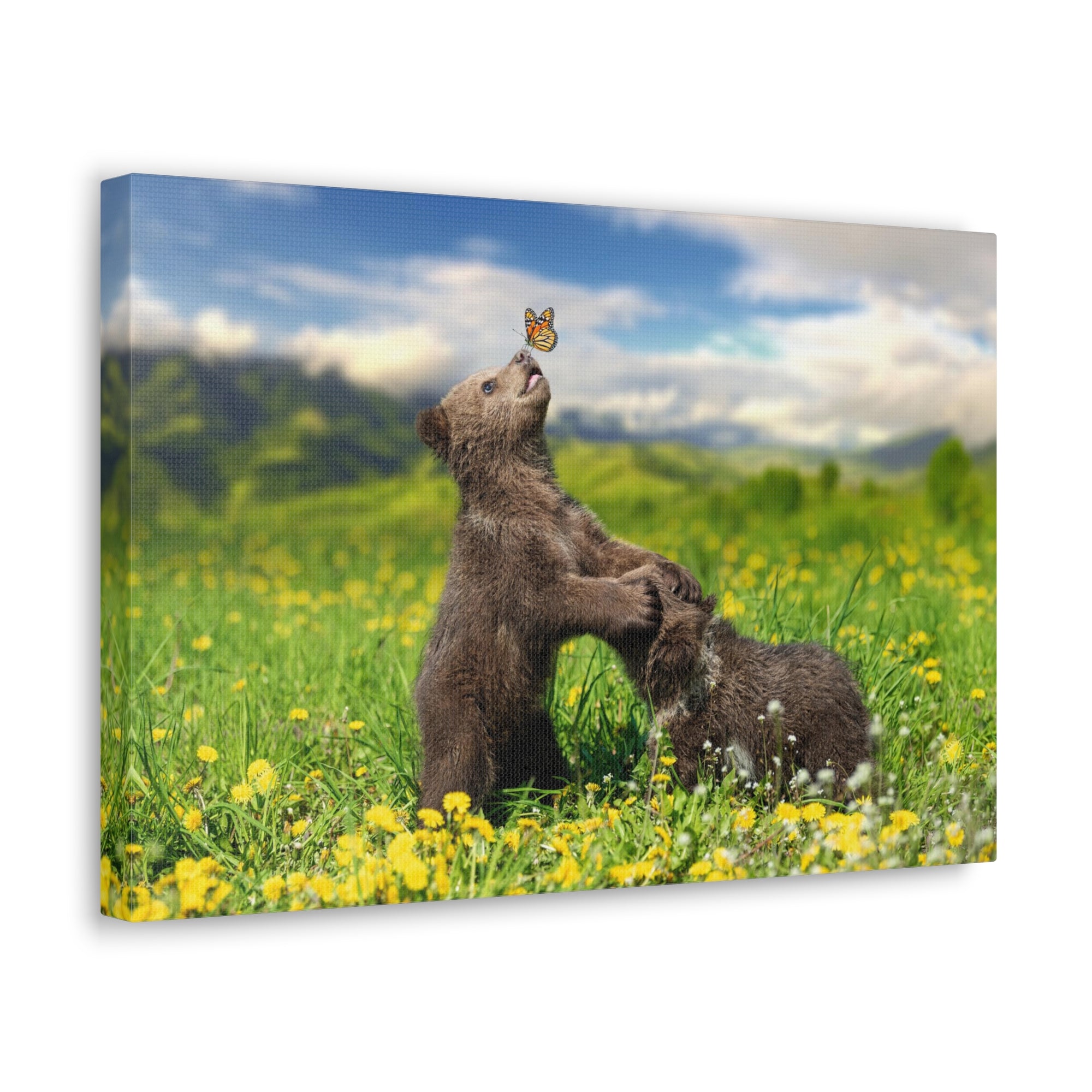 Black Bears in The Spring Nature Wilderness Photography Canvas Wall Art for Home Decor Ready-to-Hang-Express Your Love Gifts