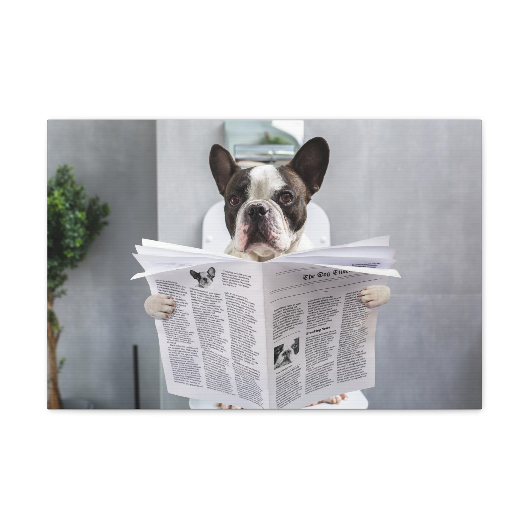 French bulldog Reading Newspaper On Toilet Funny Canvas Wall Art for Home Decor Ready-to-Hand-Express Your Love Gifts