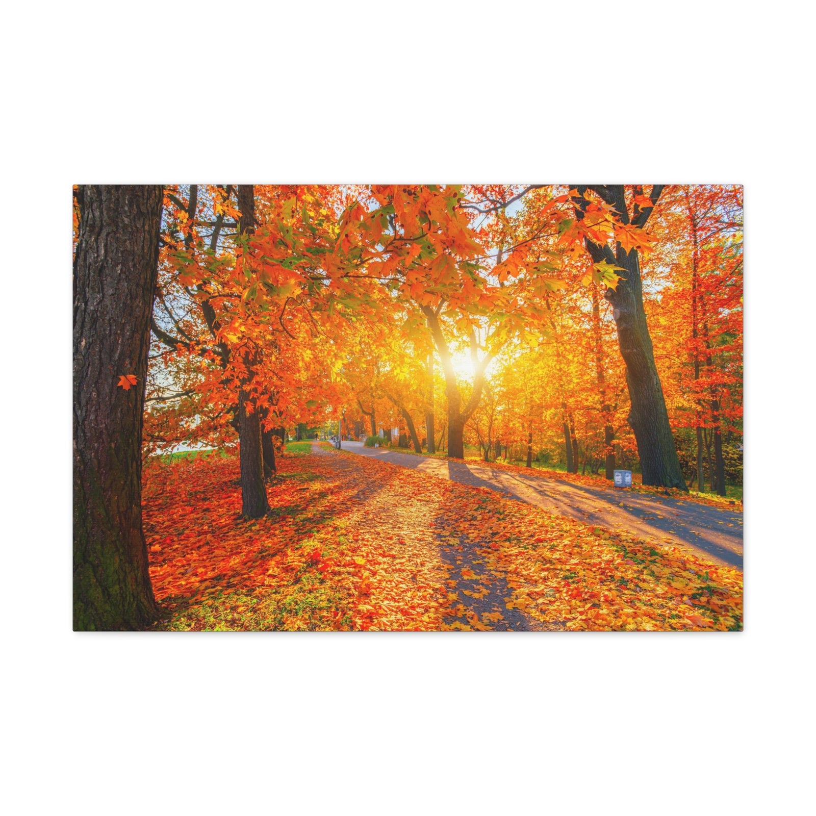 Autumn Forest Path Forest Floral Nature Photography Canvas Wall Art for Home Decor Ready-to-Hang-Express Your Love Gifts