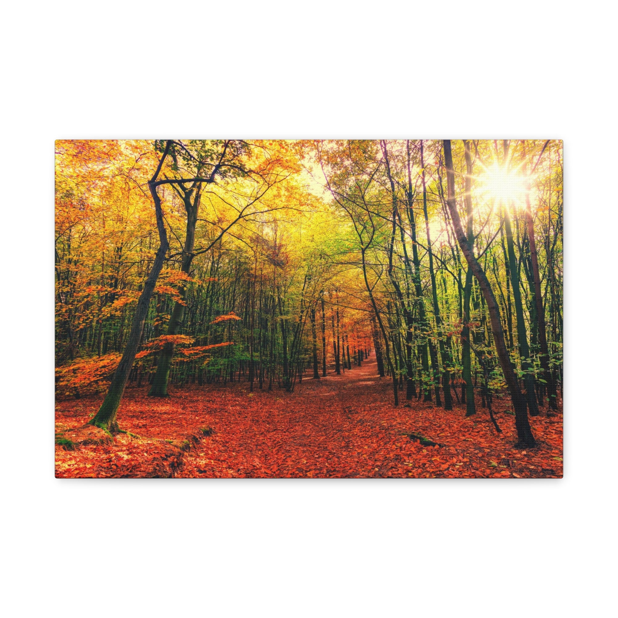 Autumn Forest is Beautiful Forest Floral Nature Photography Canvas Wall Art for Home Decor Ready-to-Hang-Express Your Love Gifts