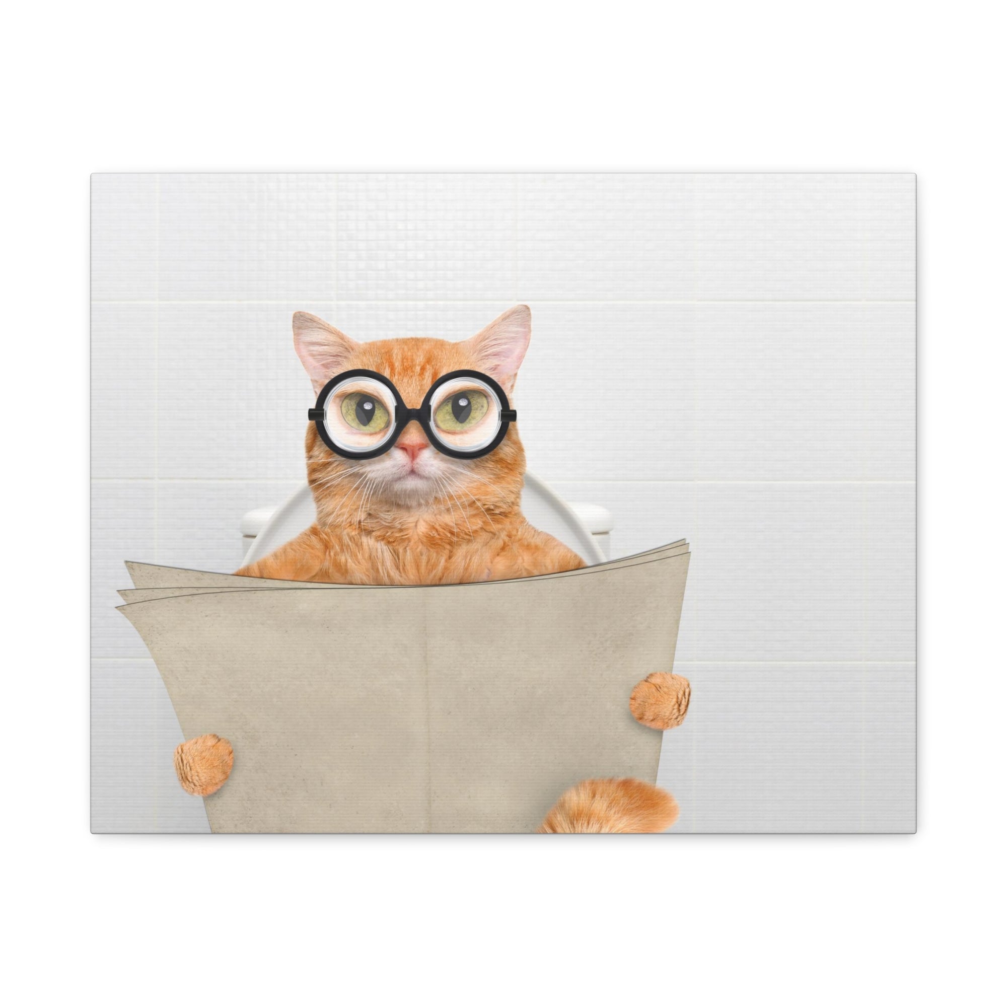 Cat Wearing Glasses Reading Newspaper On Toilet Funny Canvas Wall Art for Home Decor Ready-to-Hand-Express Your Love Gifts