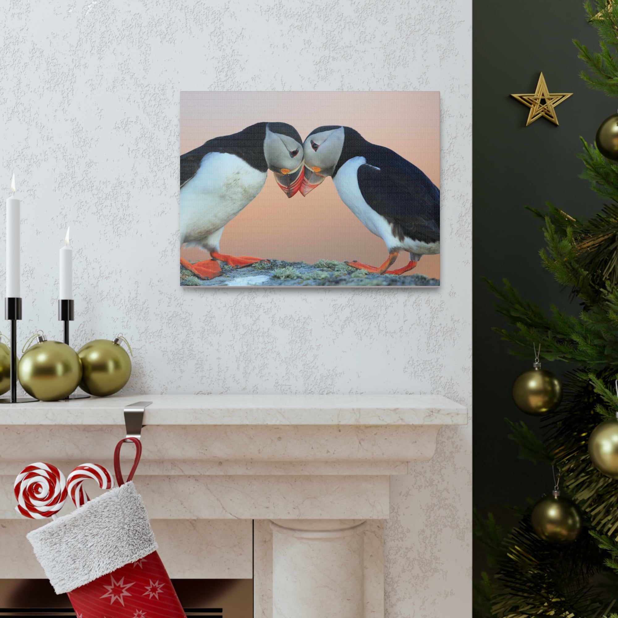 Funny Atlantic Puffin Silly Atlantic Puffin Couple Wall Art Ready to Hang-Express Your Love Gifts