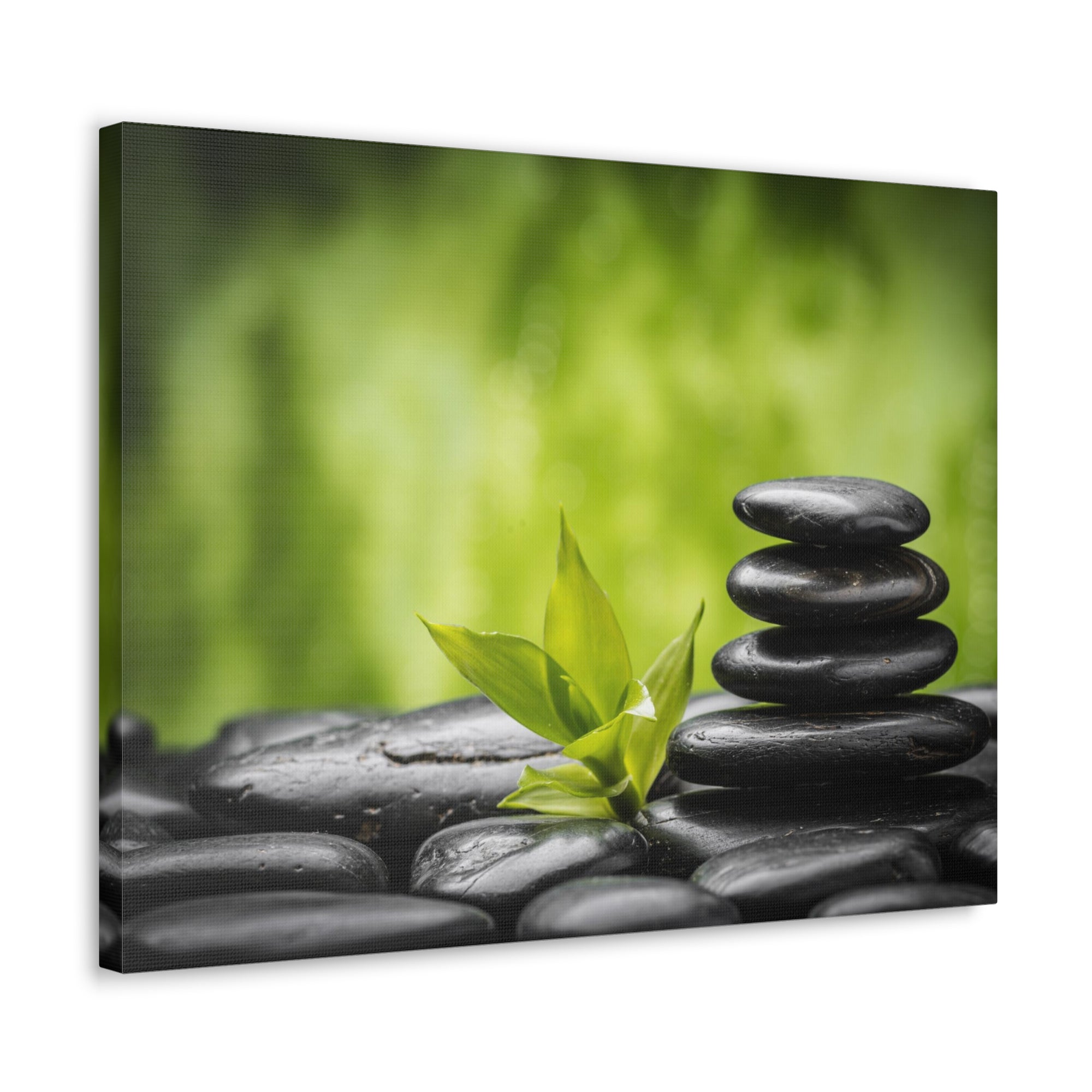 Basalt Stones and Bamboo Forest Floral Nature Photography Canvas Wall Art for Home Decor Ready-to-Hang-Express Your Love Gifts