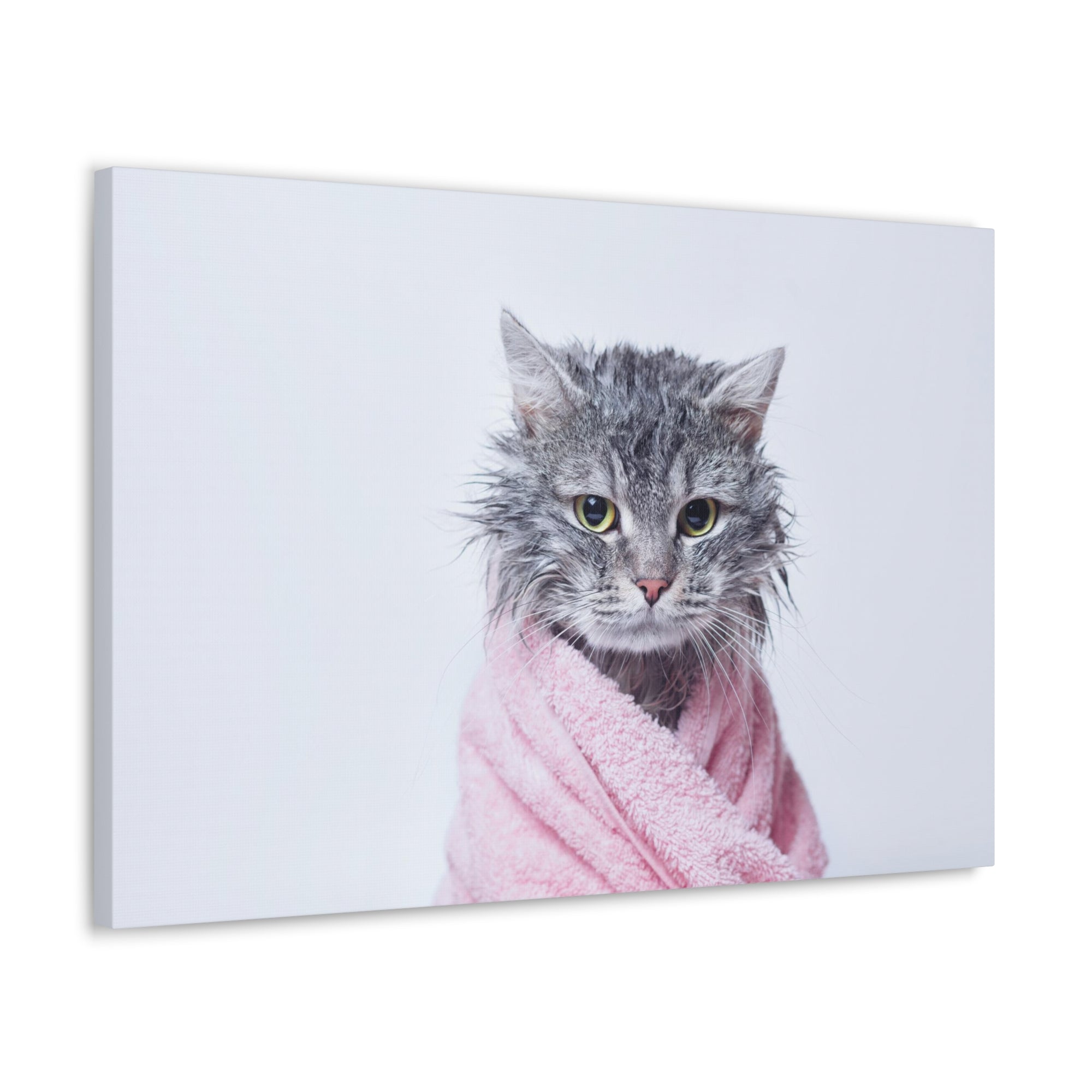 Funny Tabby Cat Bathee Canvas Wall Art for Home Decor Ready-to-Hang-Express Your Love Gifts