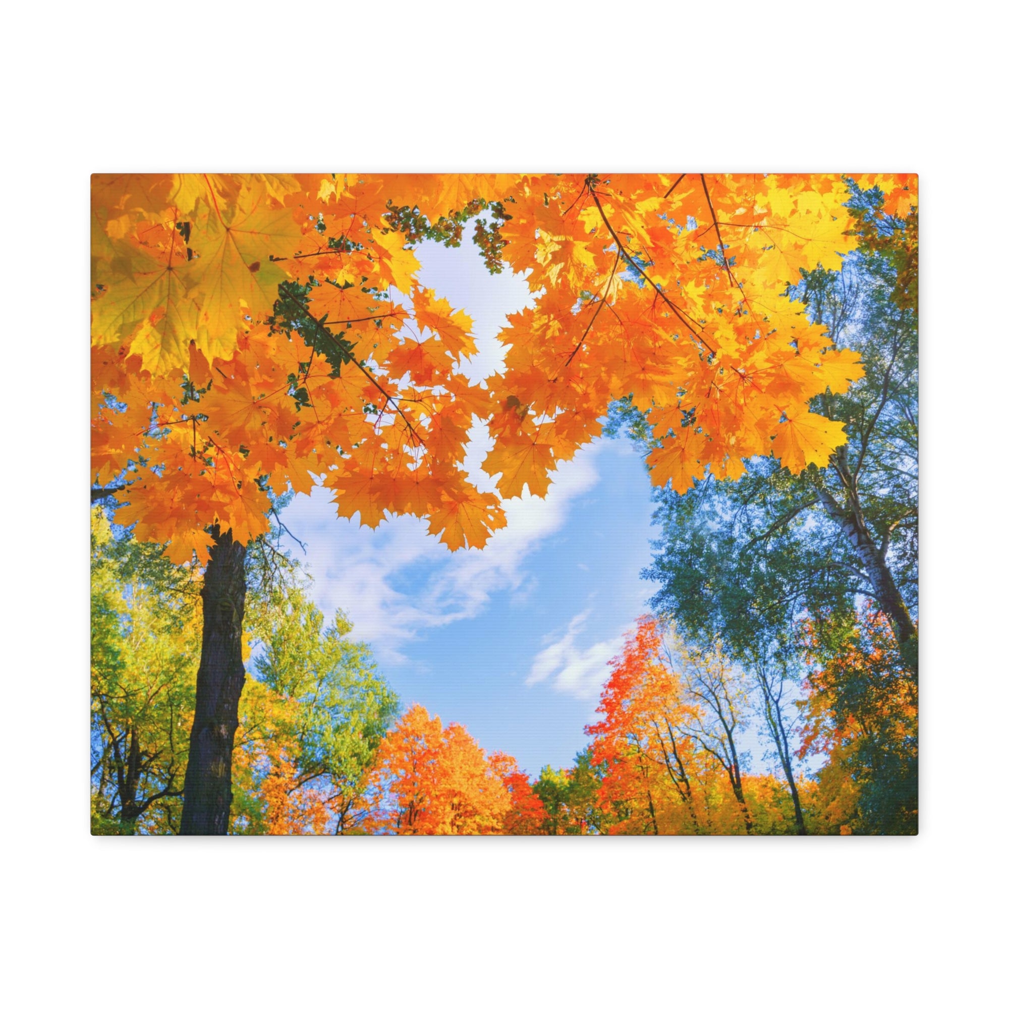 Autumn Tree With Orange Leaves Heart Nature Wilderness Photography Canvas Wall Art for Home Decor Ready-to-Hang-Express Your Love Gifts