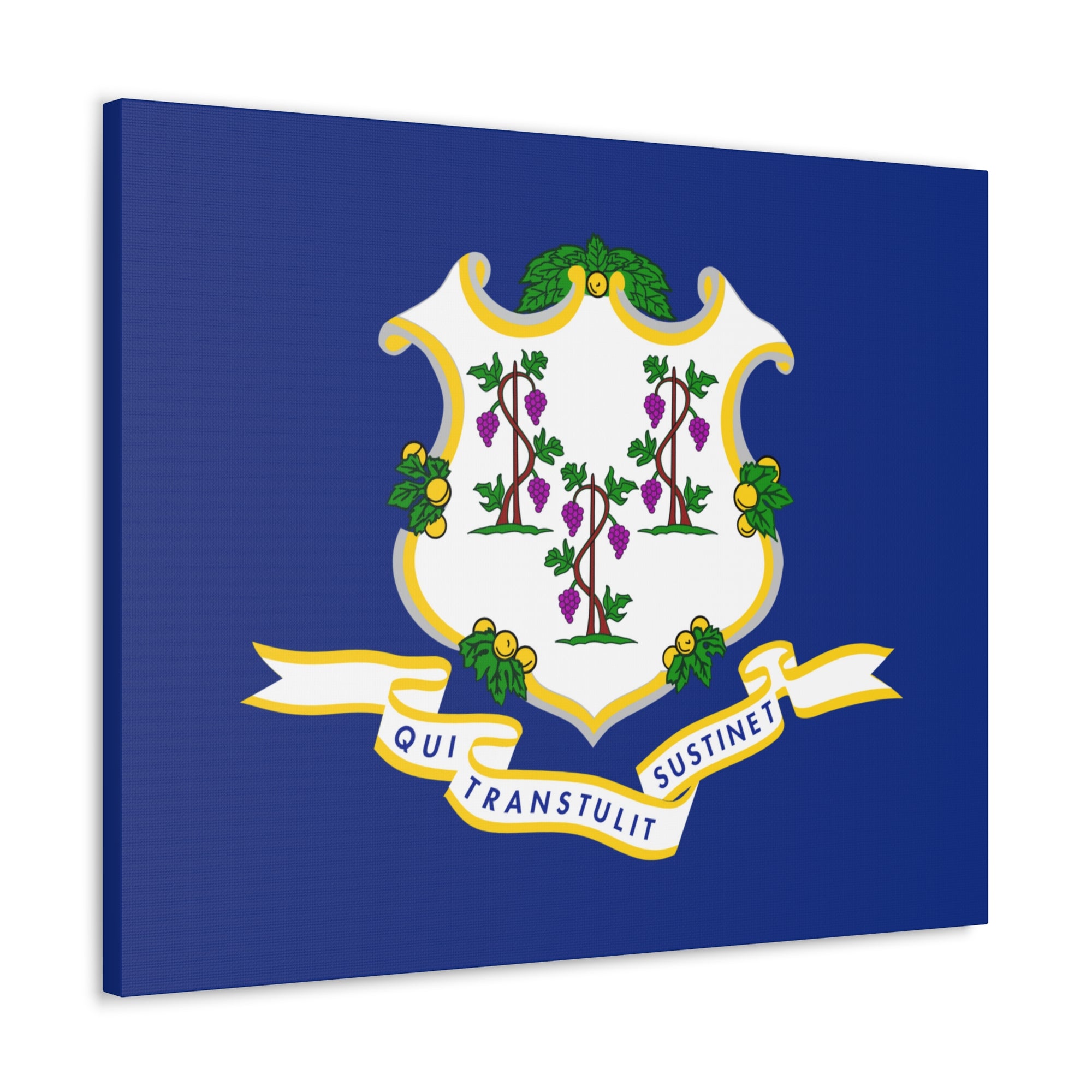 Connecticut State Flag Canvas Vibrant Wall Art Unframed Home Decor-Express Your Love Gifts