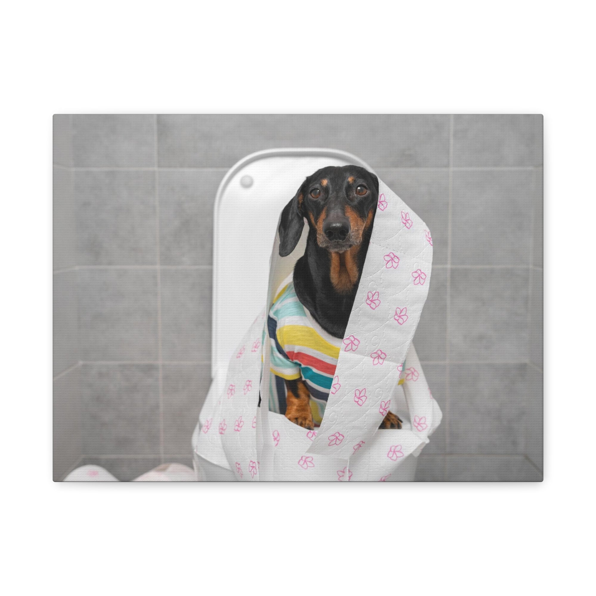 Funny Dachshund Colorful T-shirt On Toilet Funny Canvas Wall Art for Home Decor Ready-to-Hand-Express Your Love Gifts