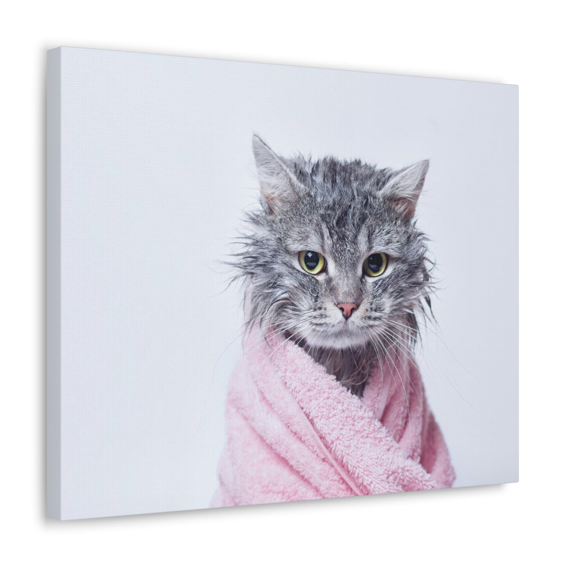 Funny Tabby Cat Bathee Canvas Wall Art for Home Decor Ready-to-Hang-Express Your Love Gifts