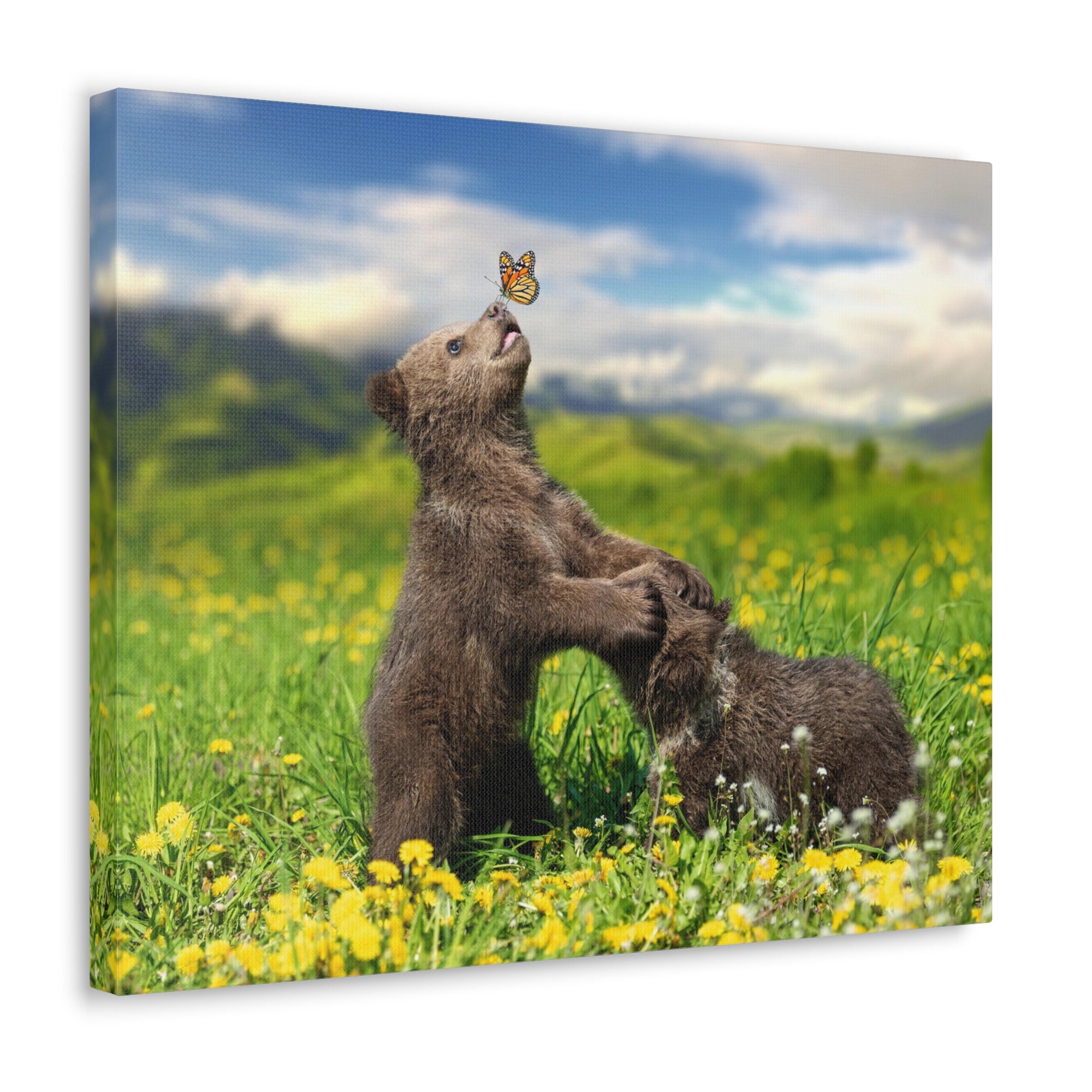 Black Bears in The Spring Nature Wilderness Photography Canvas Wall Art for Home Decor Ready-to-Hang-Express Your Love Gifts