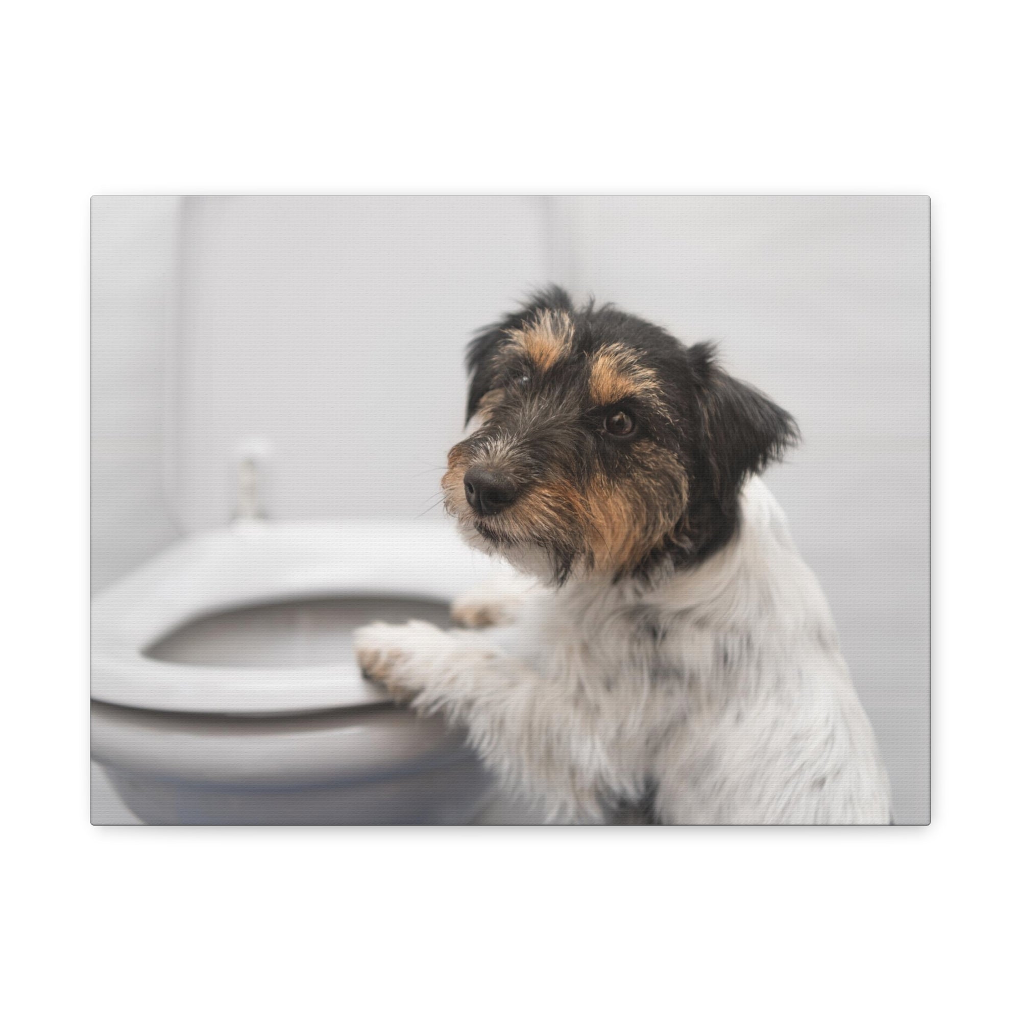 Jack Russell Terrier Standing On Toilet Funny Canvas Wall Art for Home Decor Ready-to-Hand-Express Your Love Gifts