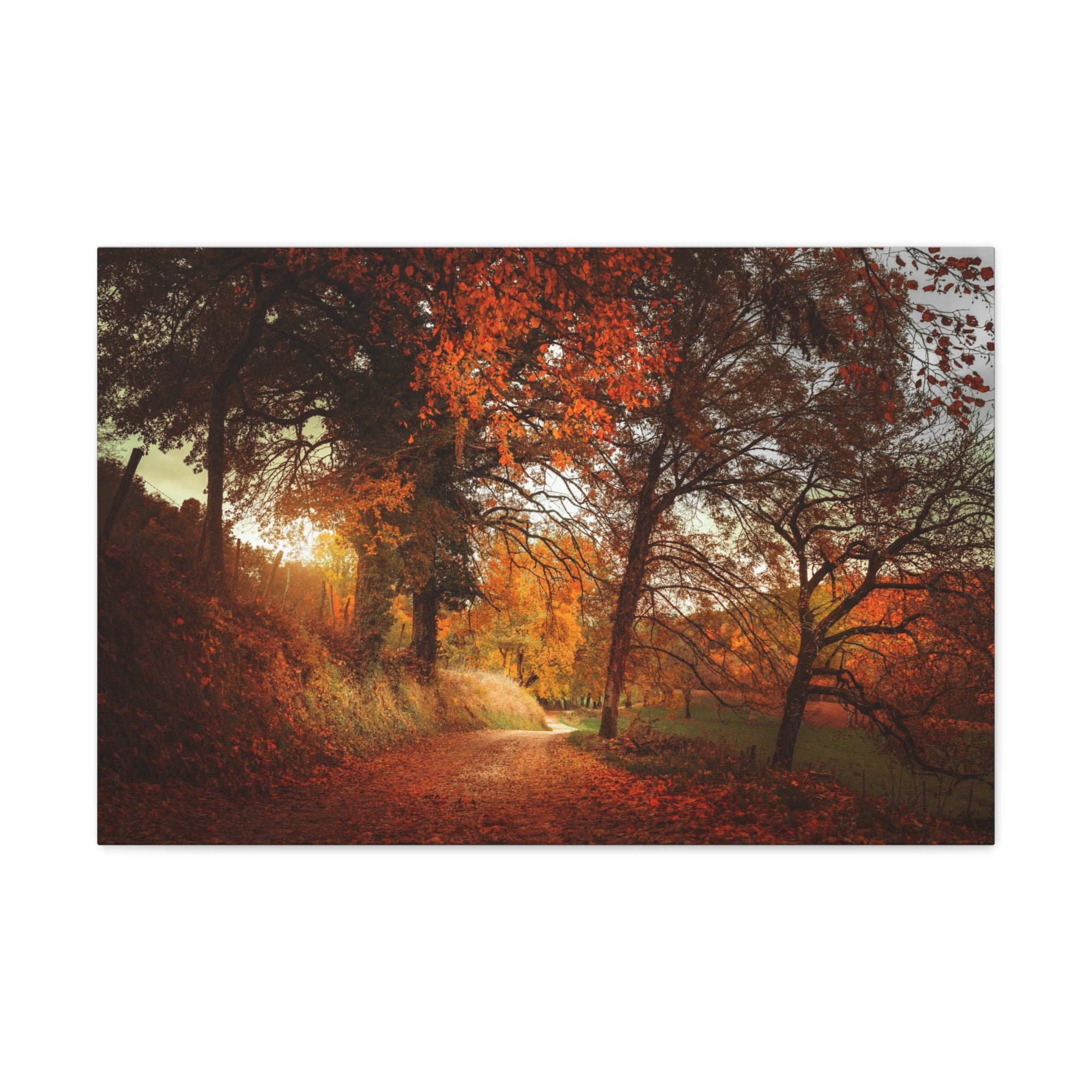 Autumn Park Orange Tree Nature Wilderness Photography Canvas Wall Art for Home Decor Ready-to-Hang-Express Your Love Gifts