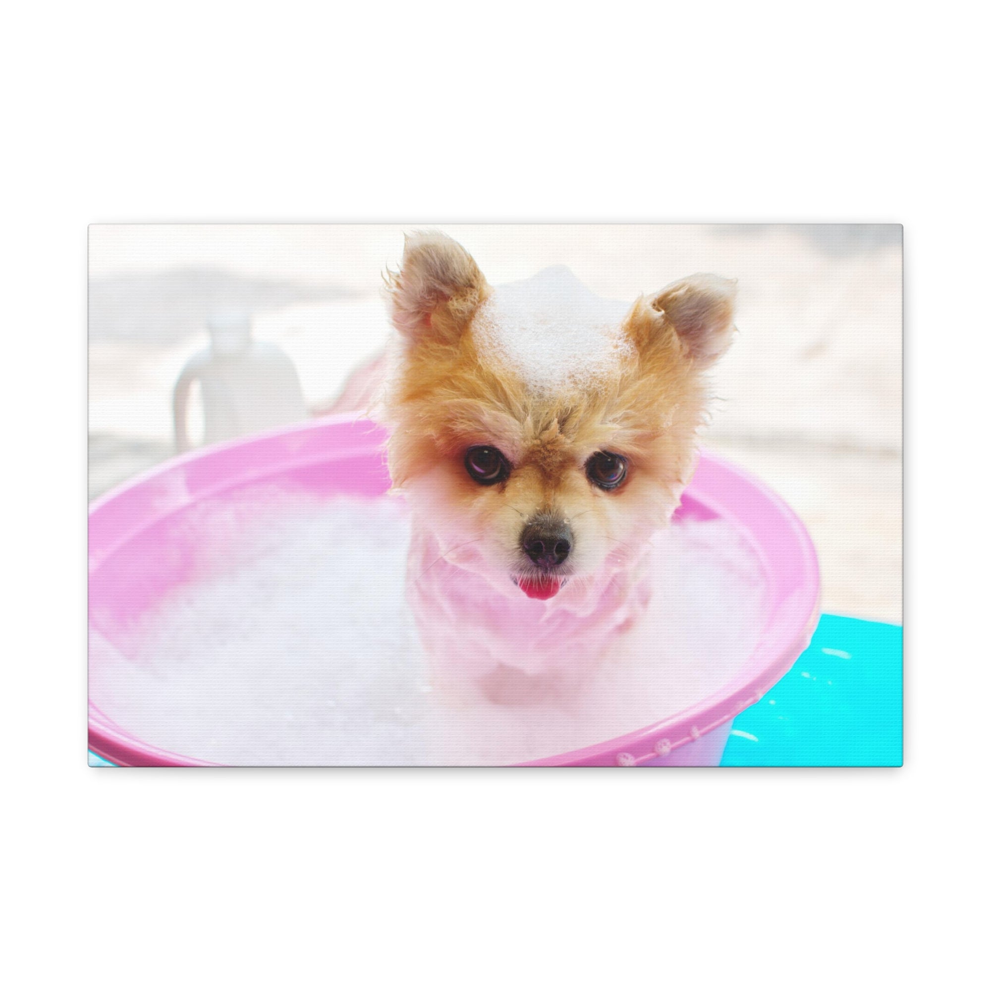 Funny Pomeranian Bath Canvas Wall Art for Home Decor Ready-to-Hang-Express Your Love Gifts