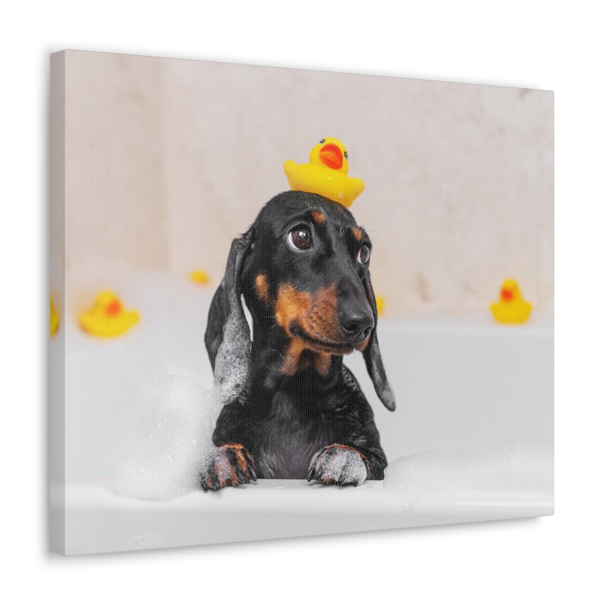 Dachshund In Bathtub With Yellow Duck On Toilet Funny Canvas Wall Art for Home Decor Ready-to-Hand-Express Your Love Gifts