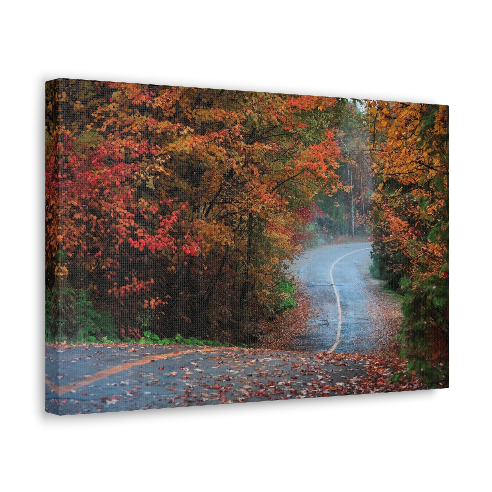 Autumn Forest Misty Path Nature Wilderness Photography Canvas Wall Art for Home Decor Ready-to-Hang-Express Your Love Gifts