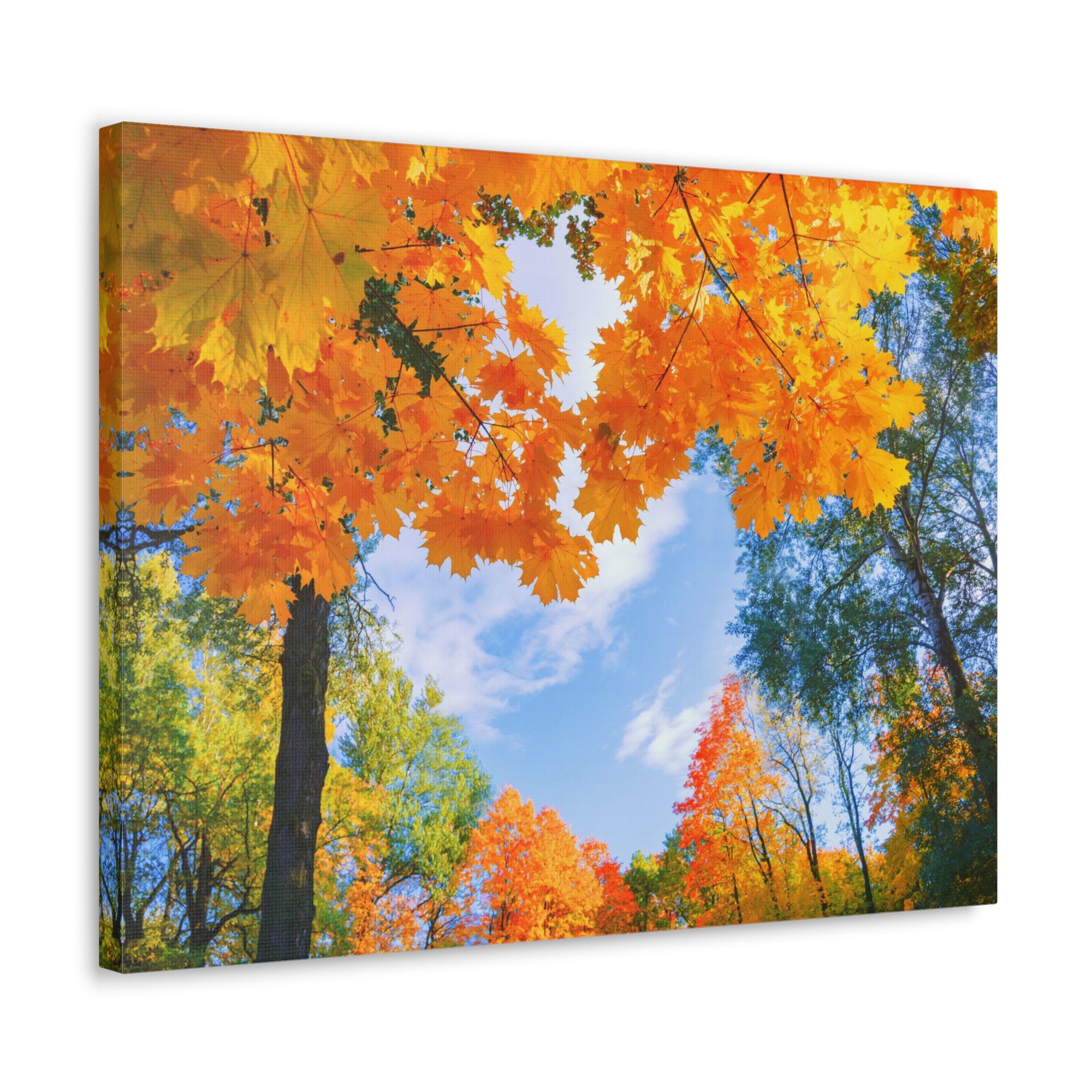 Autumn Tree With Orange Leaves Heart Nature Wilderness Photography Canvas Wall Art for Home Decor Ready-to-Hang-Express Your Love Gifts