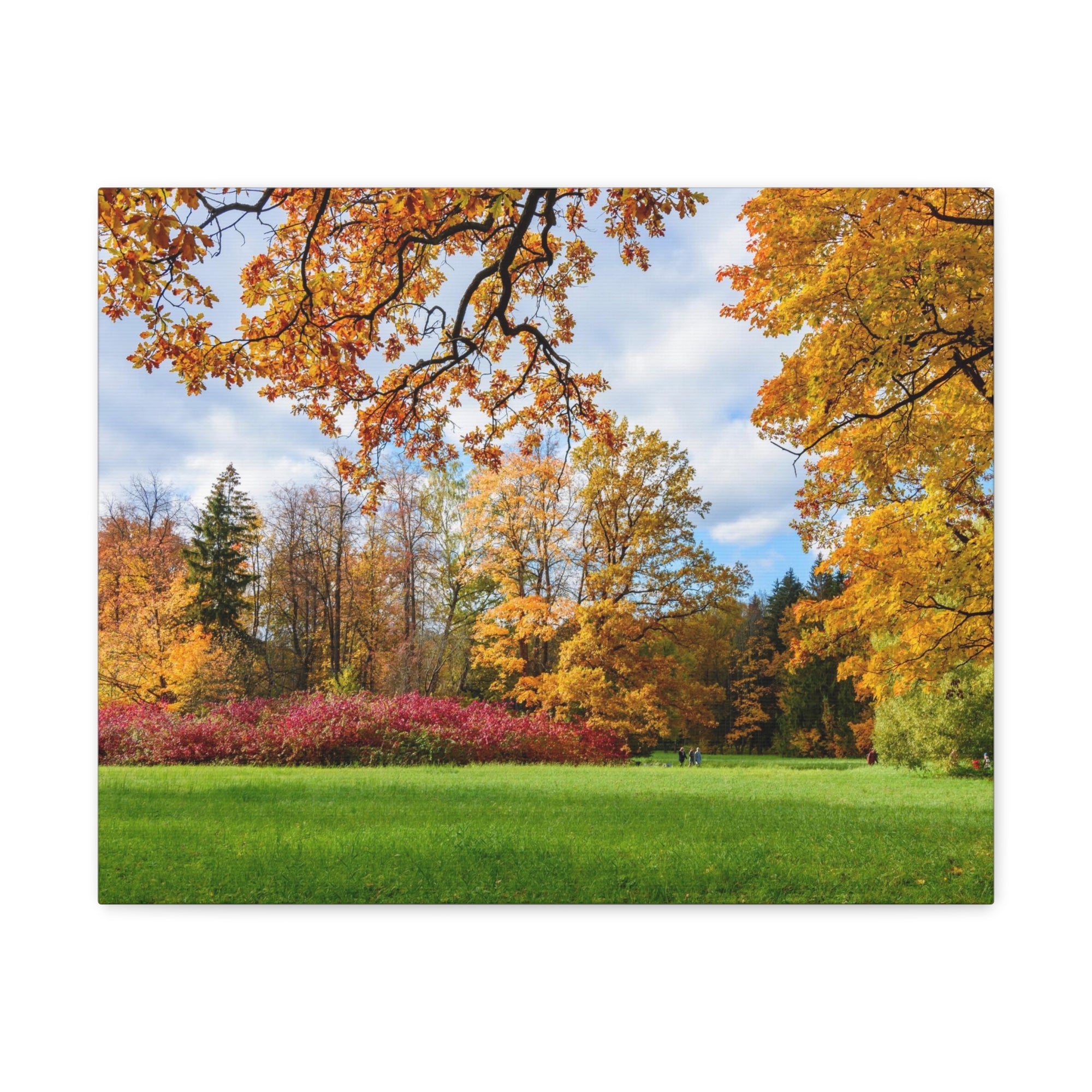 Autumn Park Tree Orange Nature Wilderness Photography Canvas Wall Art for Home Decor Ready-to-Hang-Express Your Love Gifts