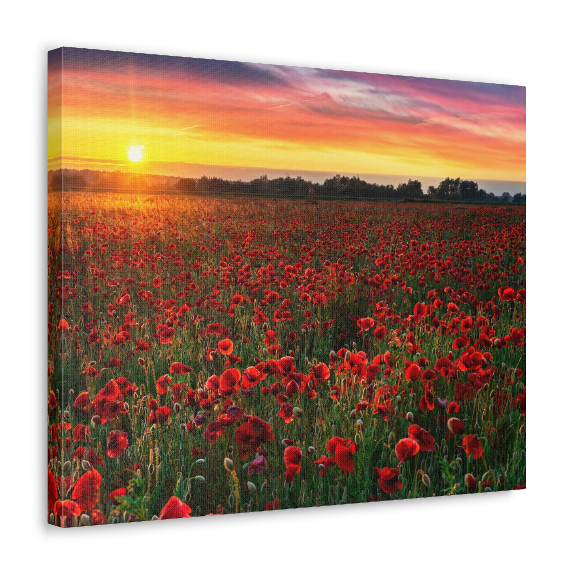 Beautiful Poppy Field During Sunrise Flower Canvas Wall Art for Home Decor Ready-to-Hang-Express Your Love Gifts