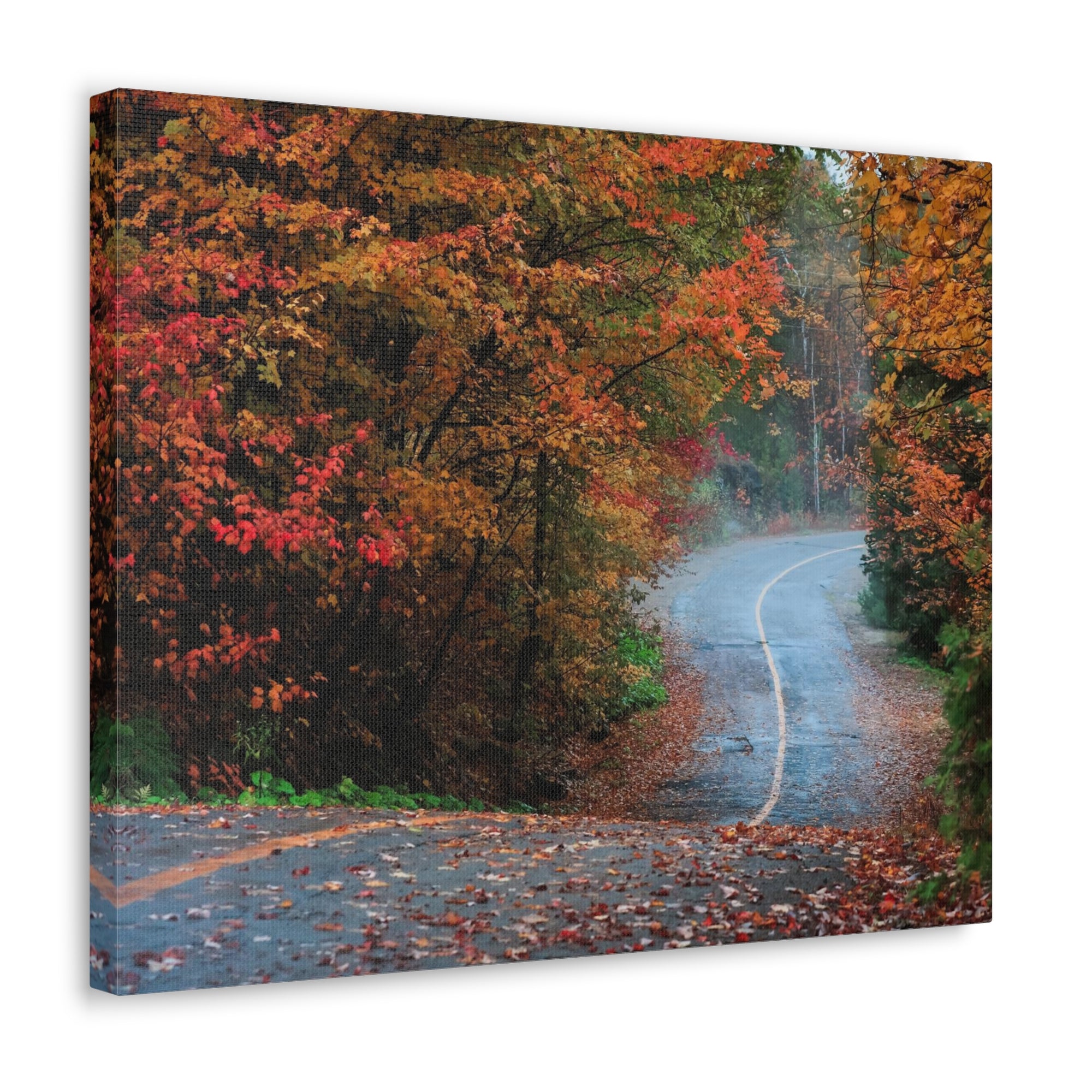 Autumn Forest Misty Path Nature Wilderness Photography Canvas Wall Art for Home Decor Ready-to-Hang-Express Your Love Gifts